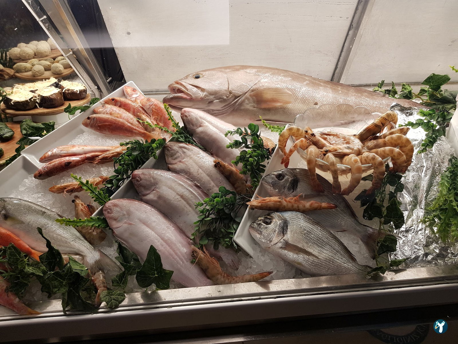 Birinci Kordon Balık Restoran