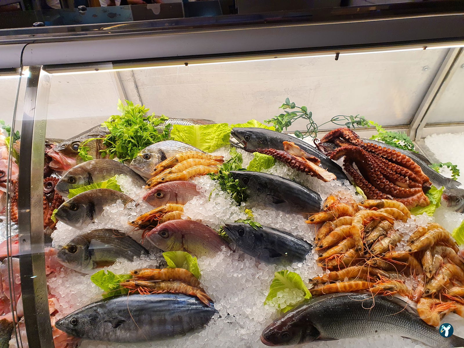 Birinci Kordon Balık Restoran