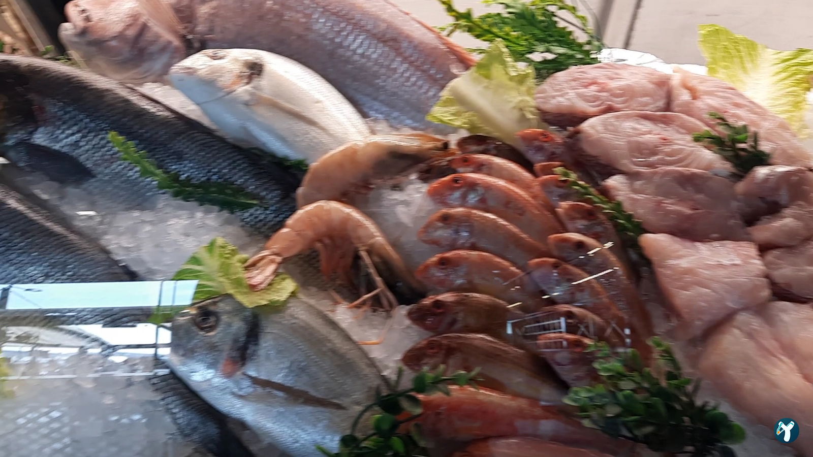 Birinci Kordon Balık Restoran
