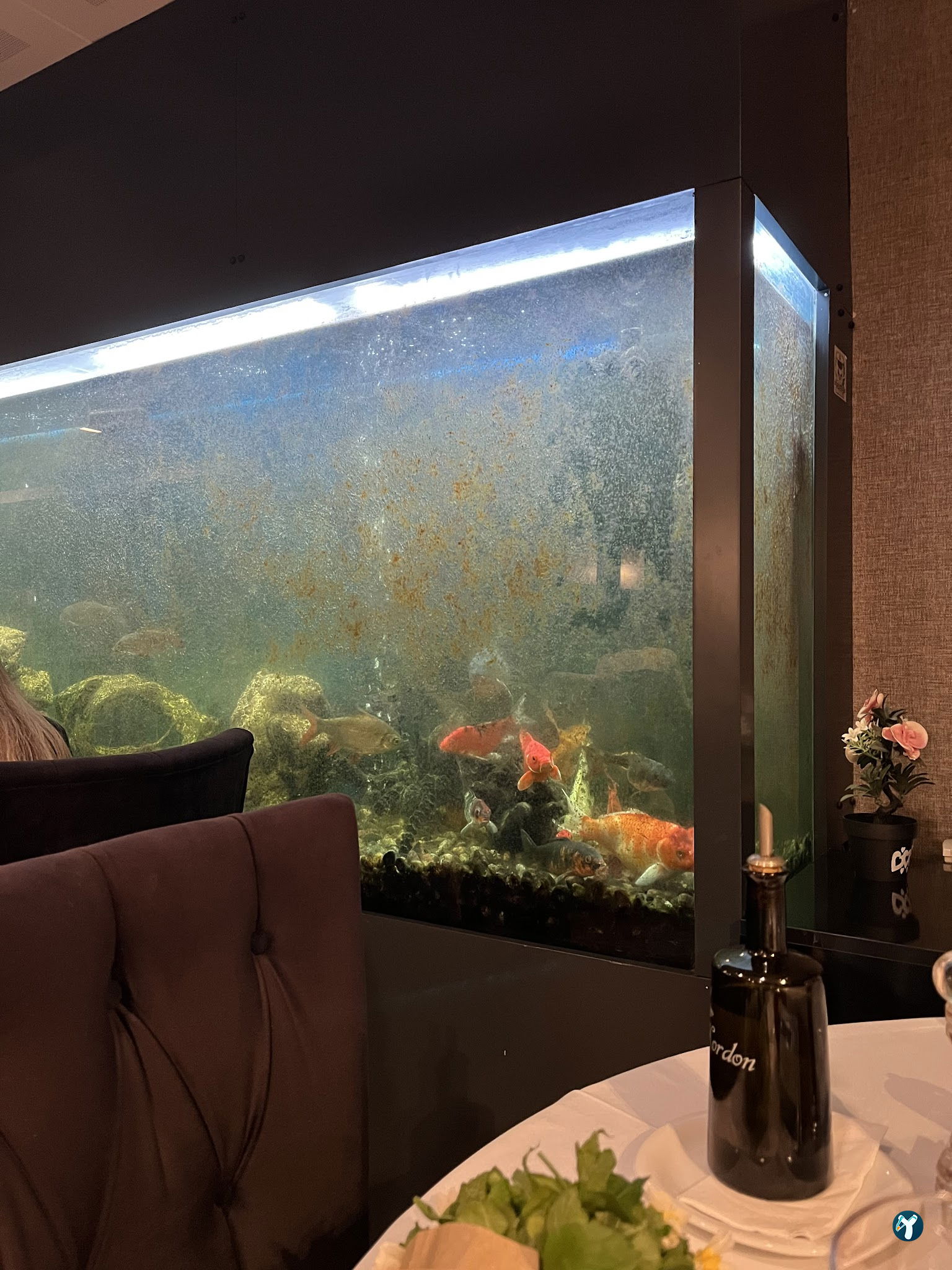 Birinci Kordon Balık Restoran