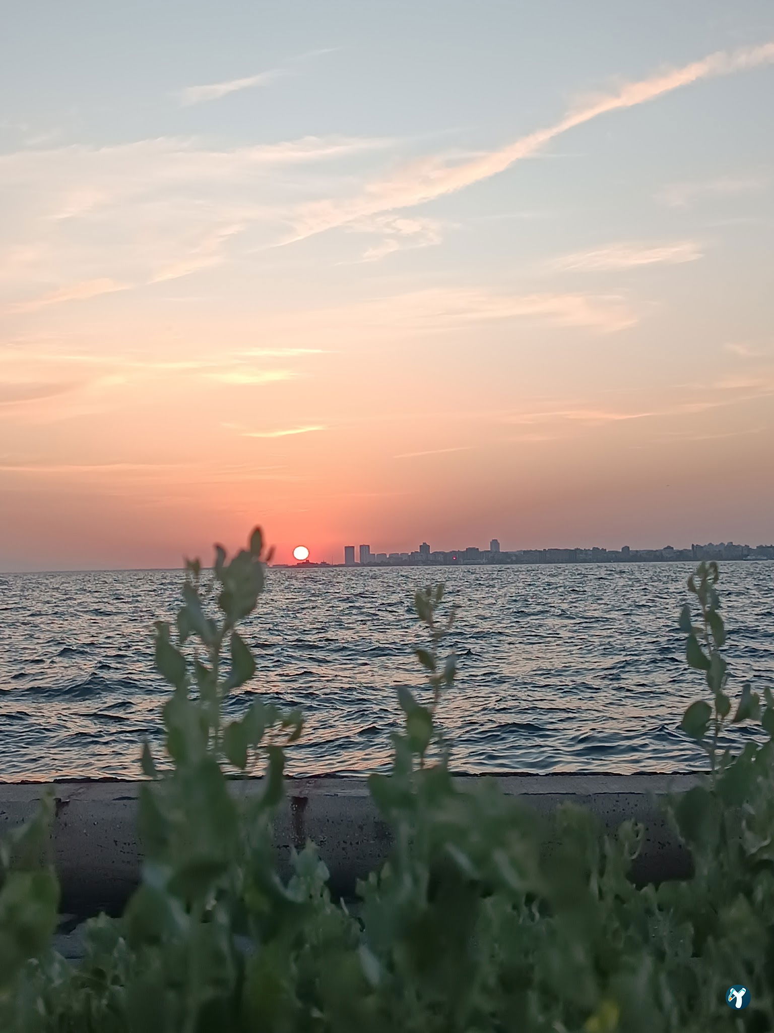 Birinci Kordon Balık Restoran