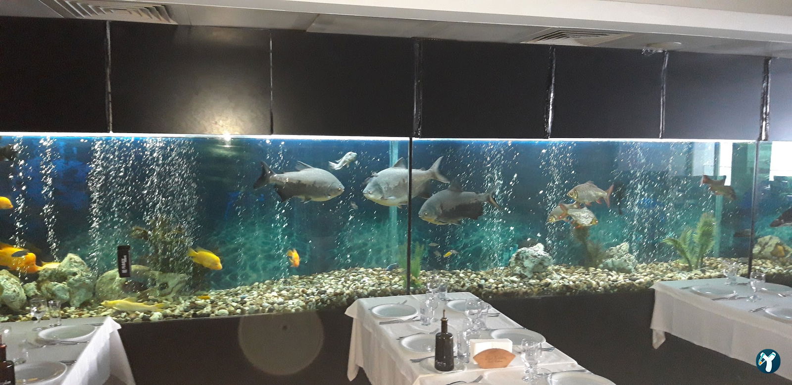 Birinci Kordon Balık Restoran