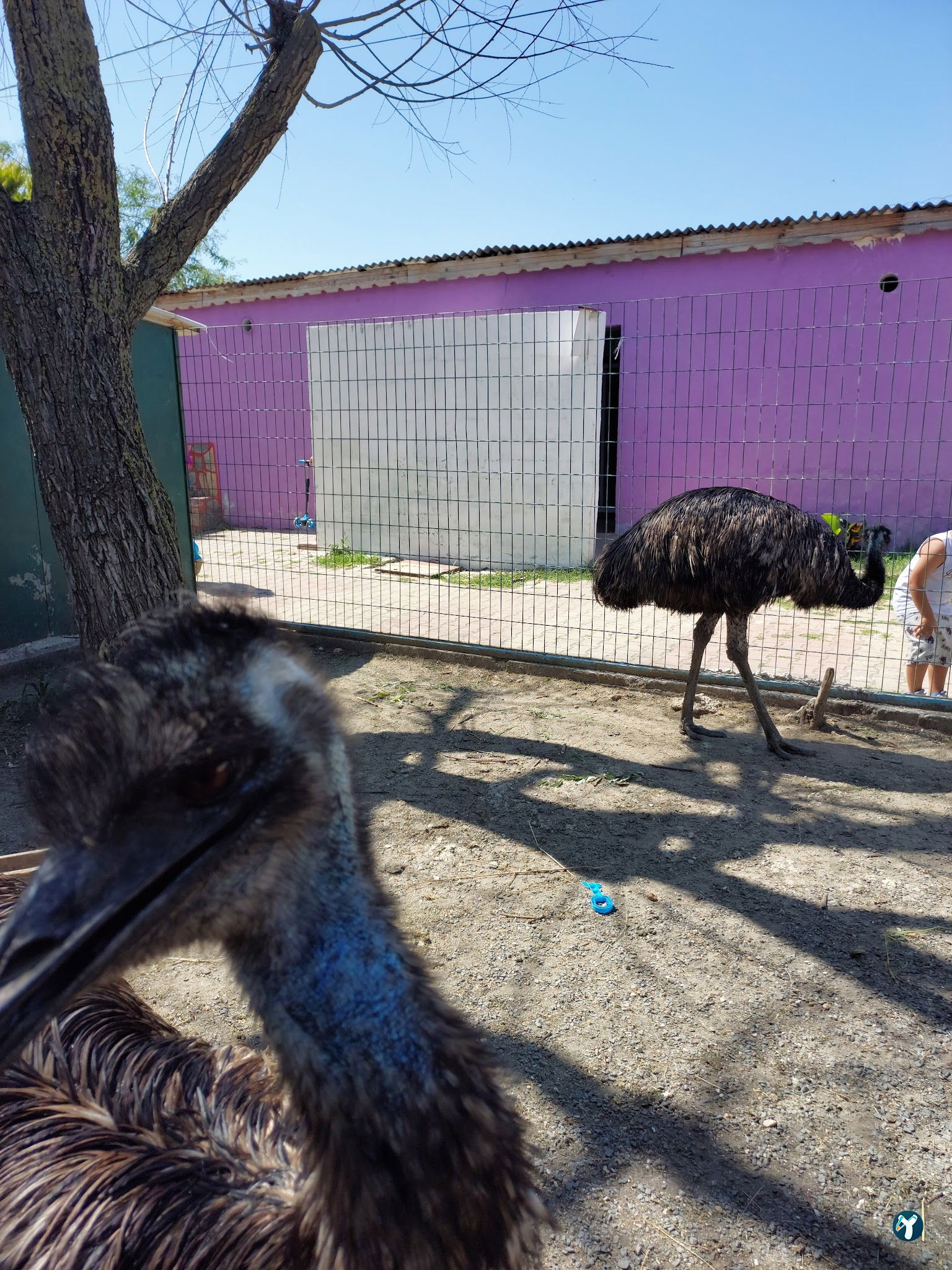 Çatalca Piknik Sefası
