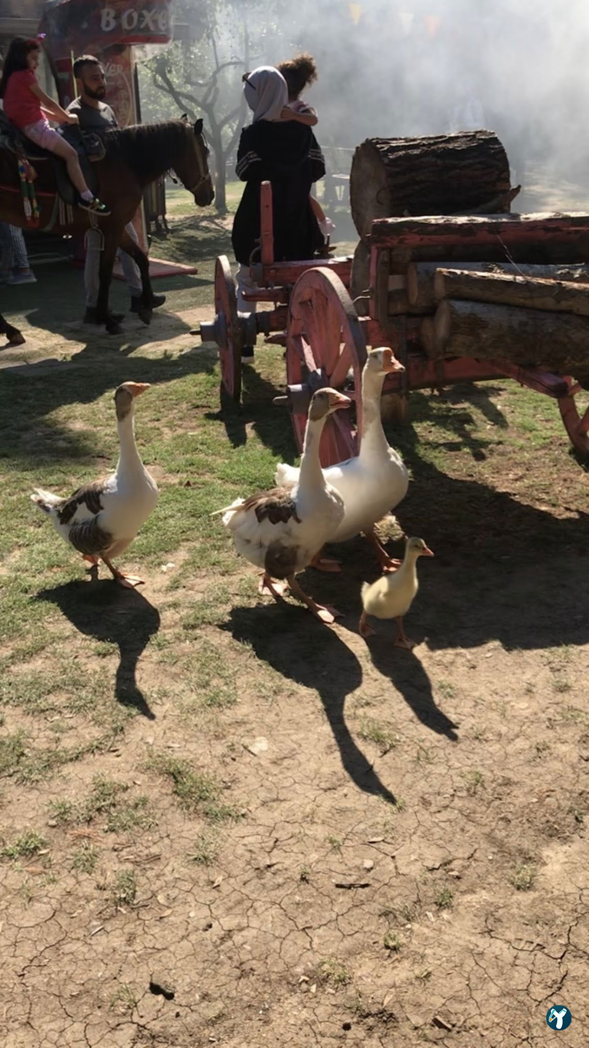 Çatalca Piknik Sefası