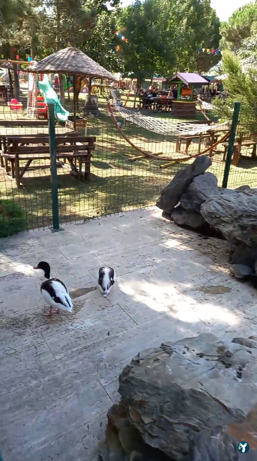 Çatalca Piknik Sefası