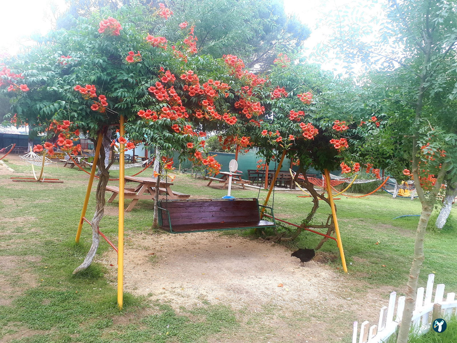 Çatalca Piknik Sefası