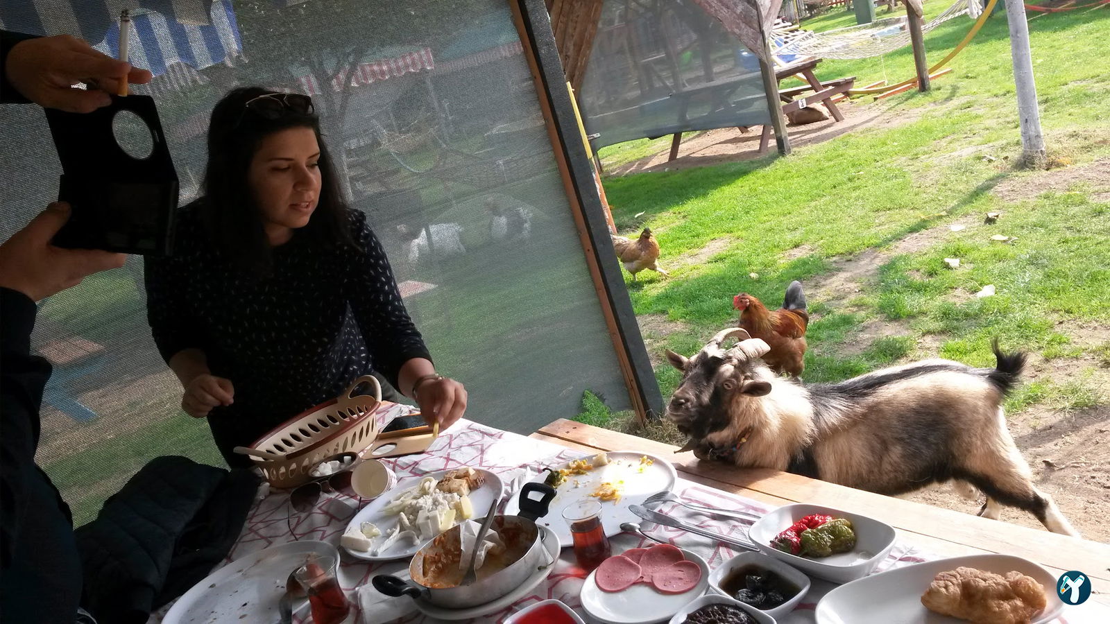 Çatalca Piknik Sefası