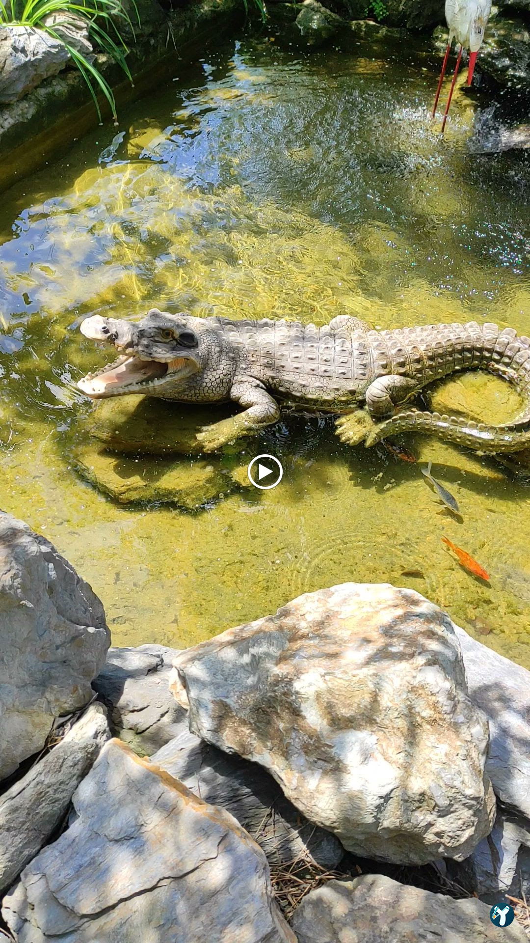 Çatalca Piknik Sefası