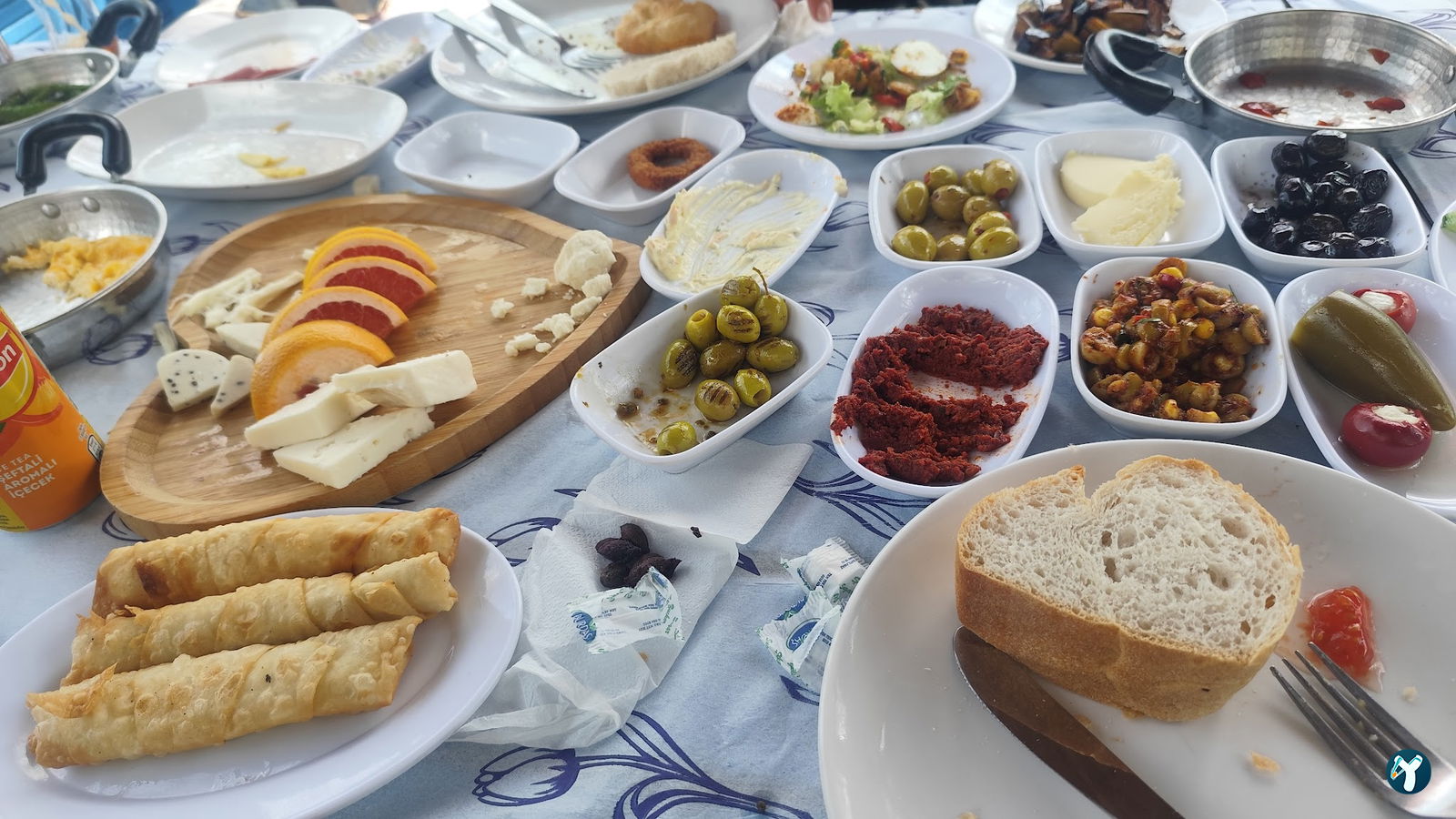 Çatalca Piknik Sefası