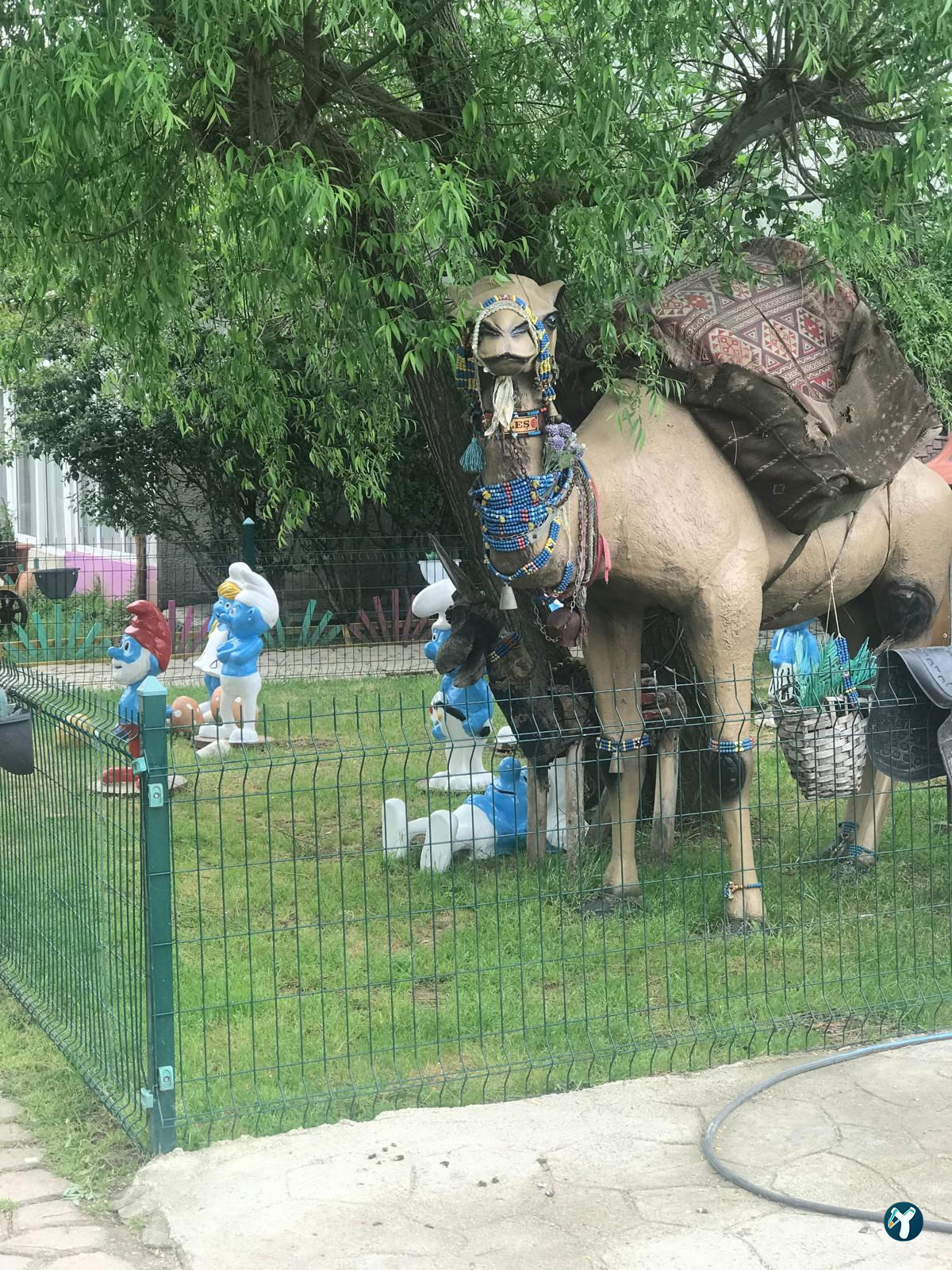 Çatalca Piknik Sefası
