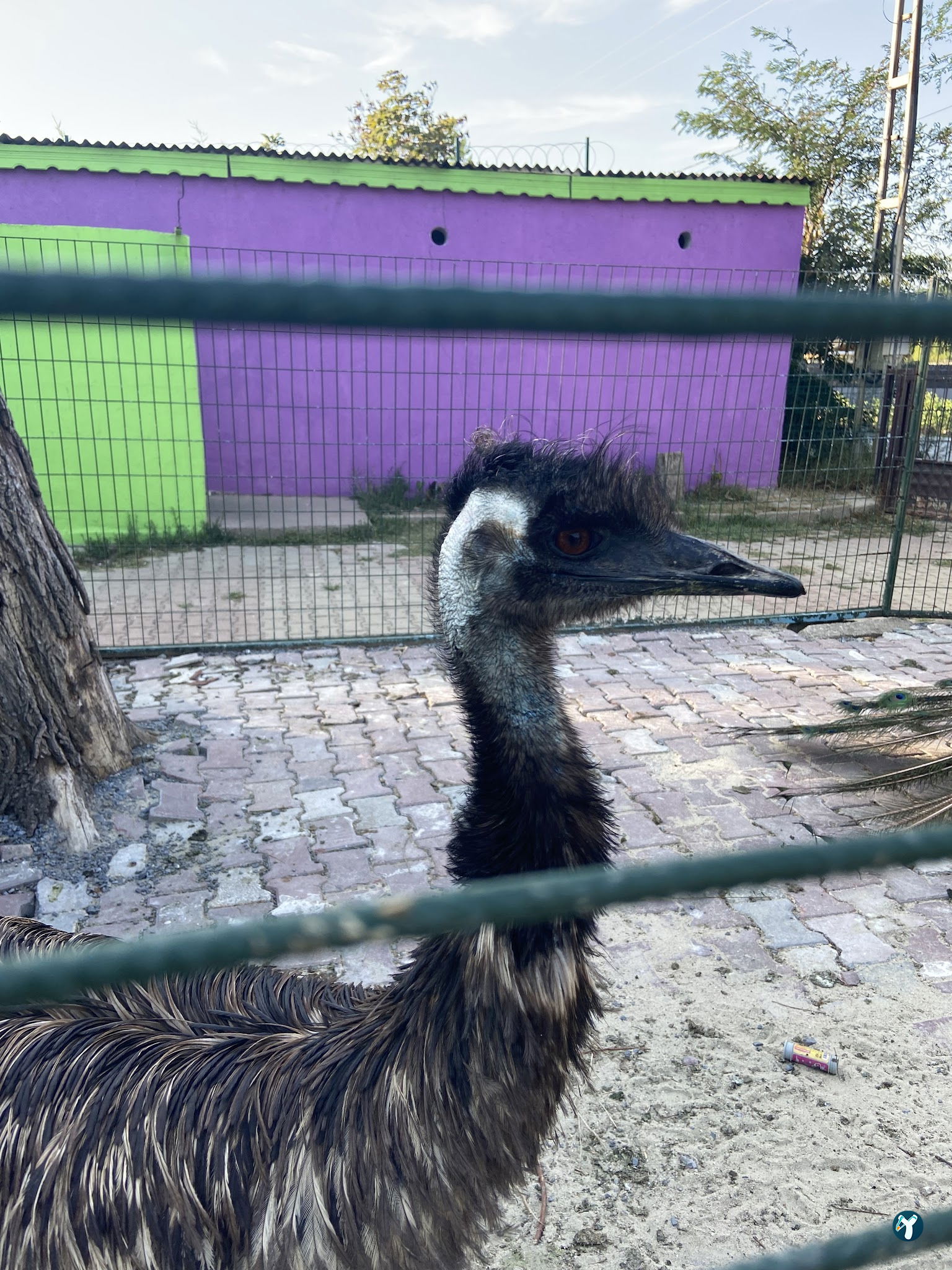 Çatalca Piknik Sefası