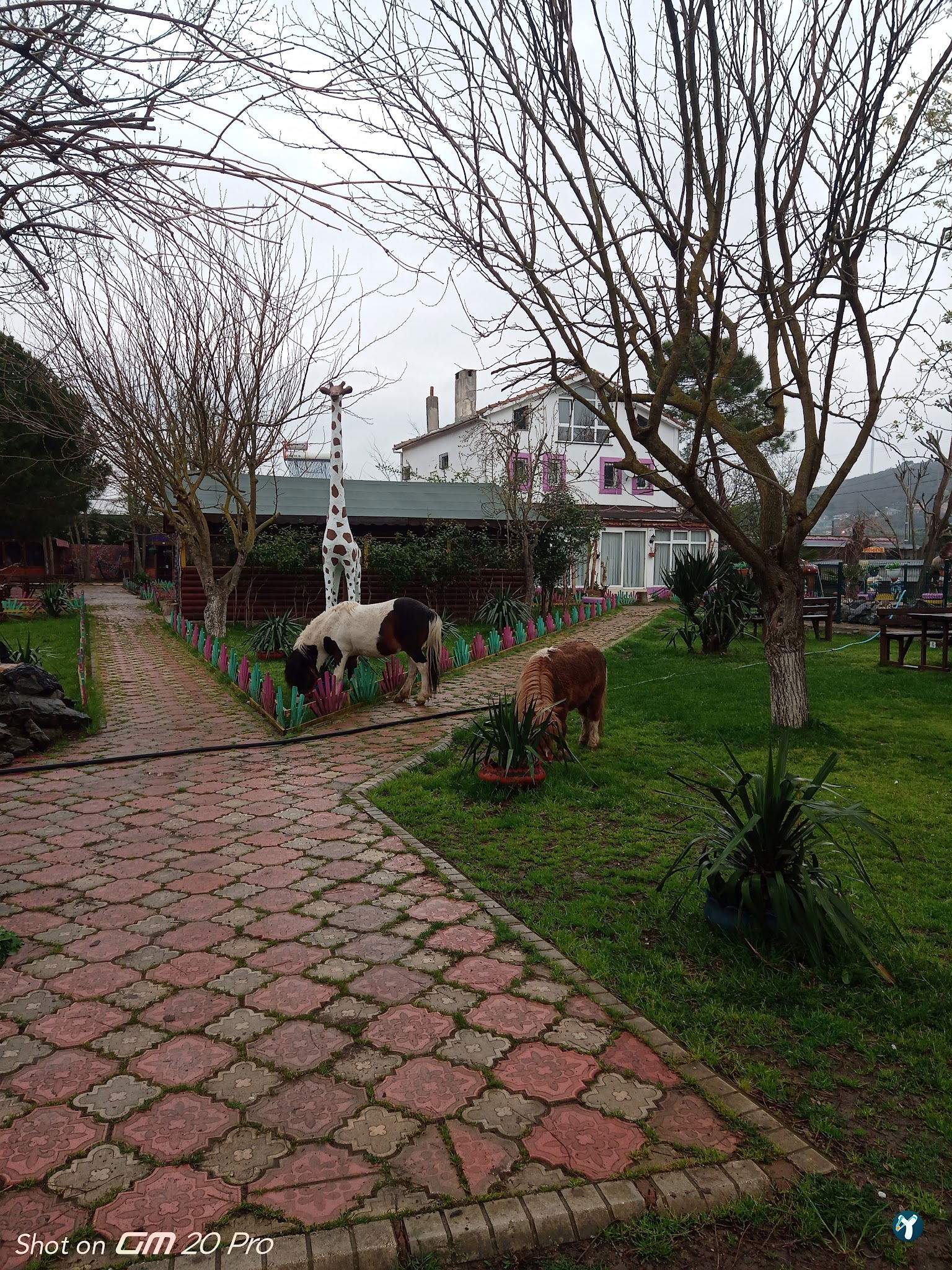 Çatalca Piknik Sefası