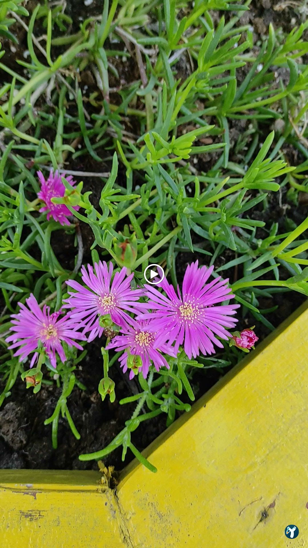 Çatalca Piknik Sefası