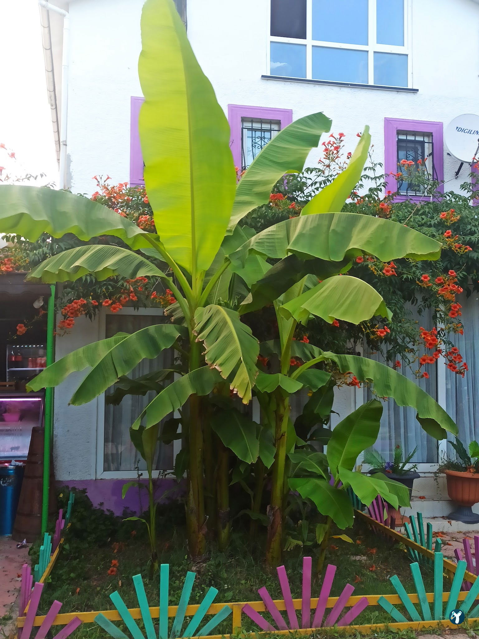 Çatalca Piknik Sefası