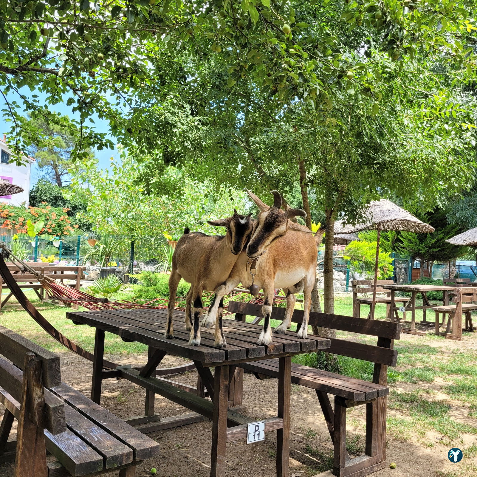 Çatalca Piknik Sefası