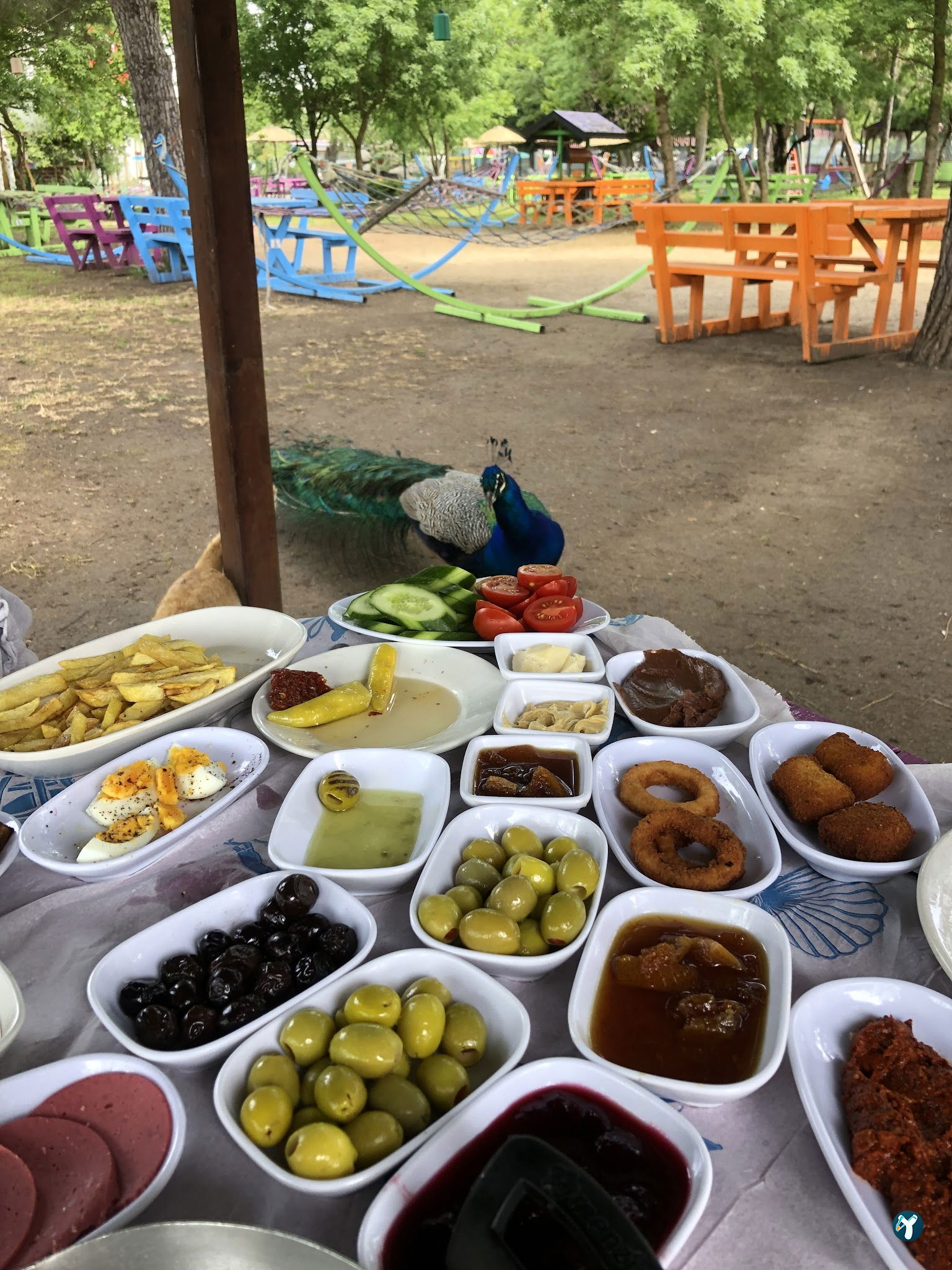 Çatalca Piknik Sefası