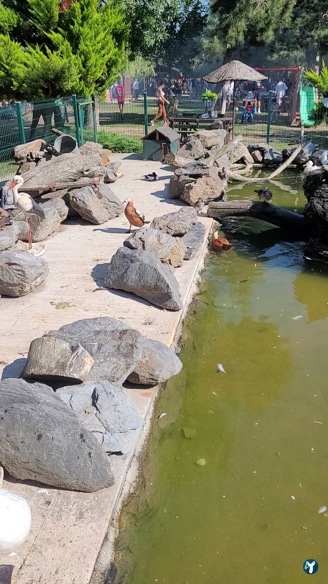 Çatalca Piknik Sefası