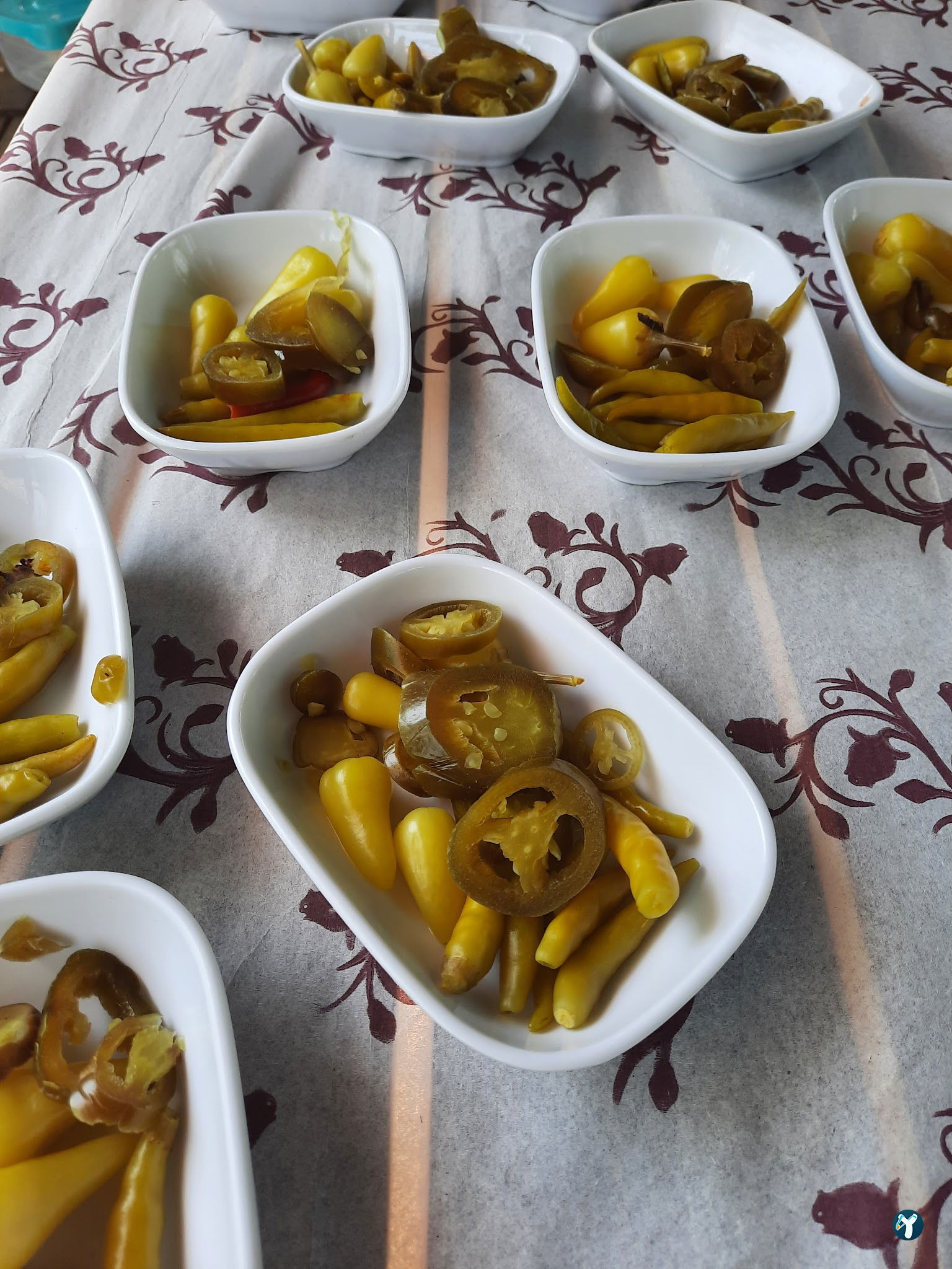 Çatalca Piknik Sefası