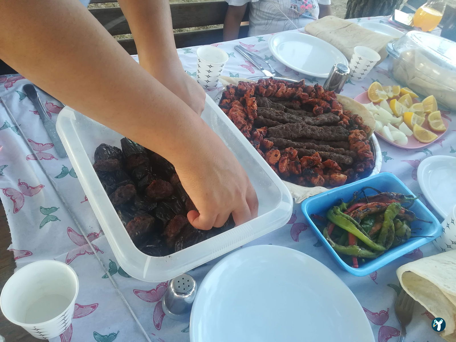Çatalca Piknik Sefası