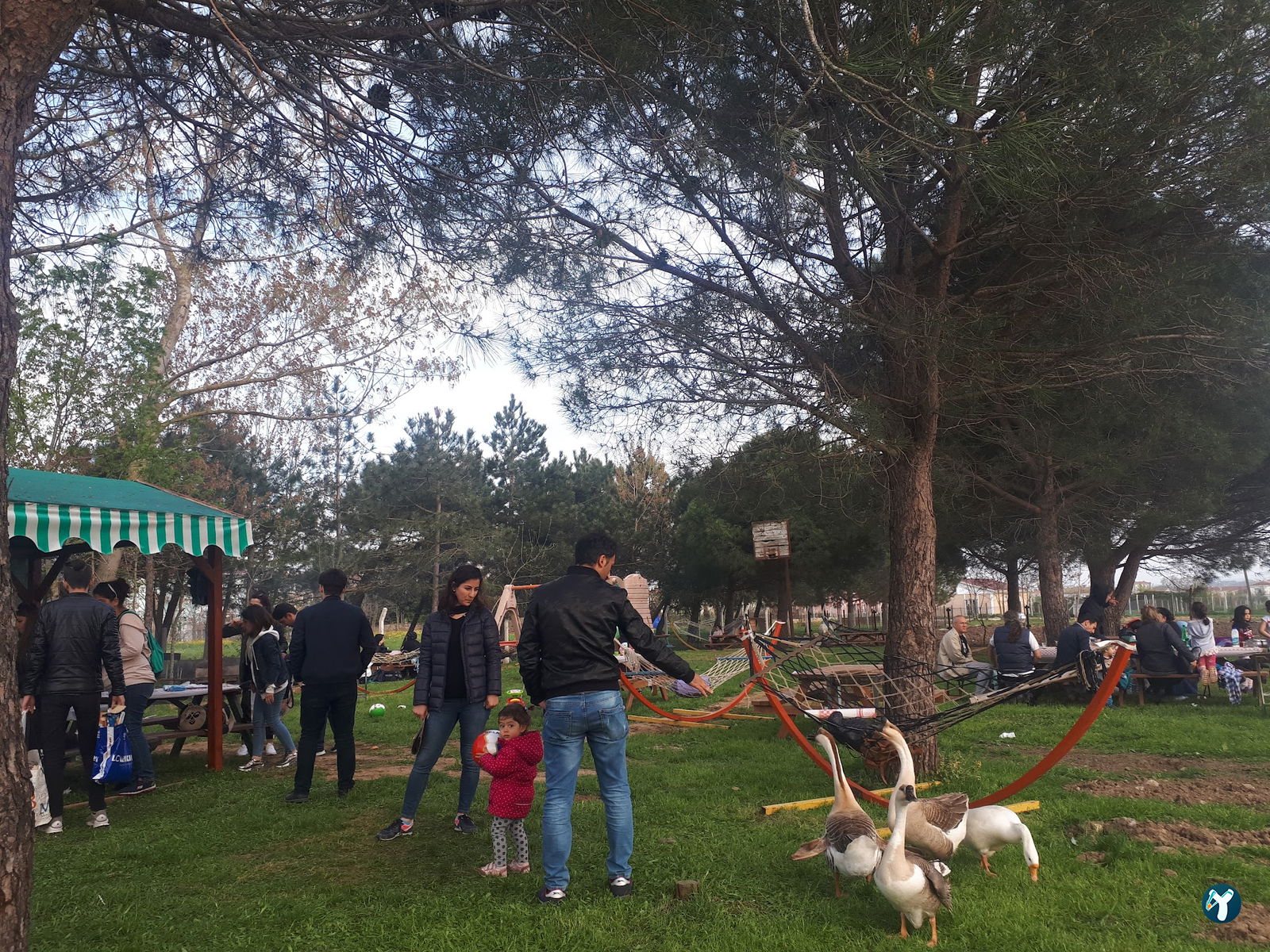Çatalca Piknik Sefası