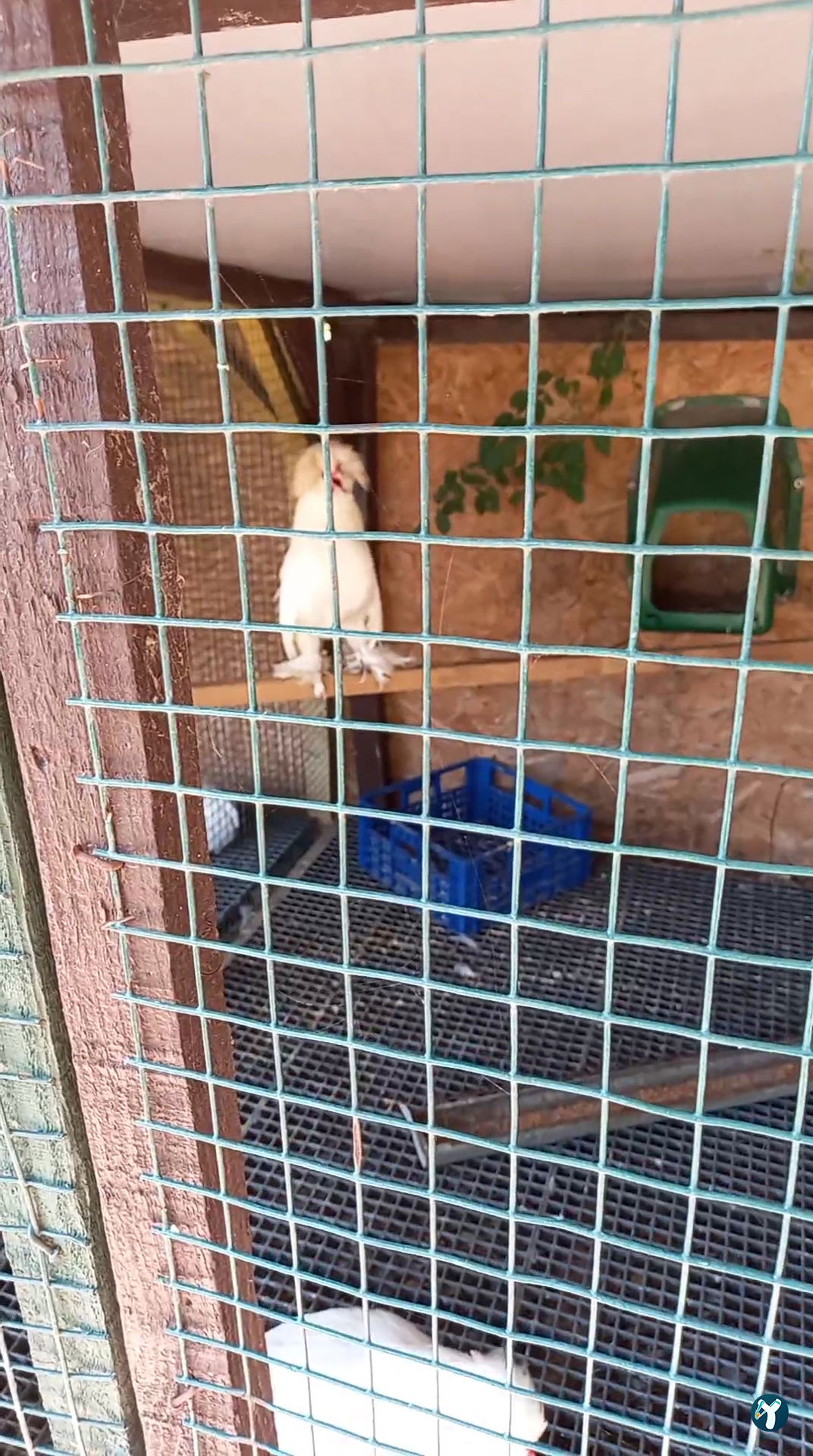 Çatalca Piknik Sefası