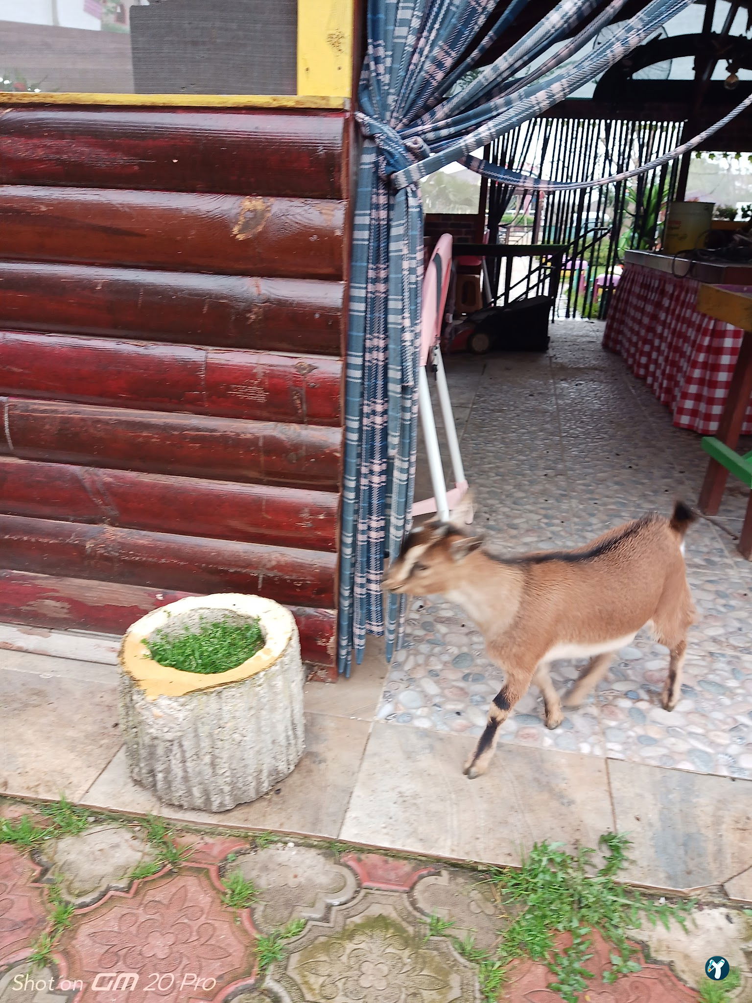 Çatalca Piknik Sefası