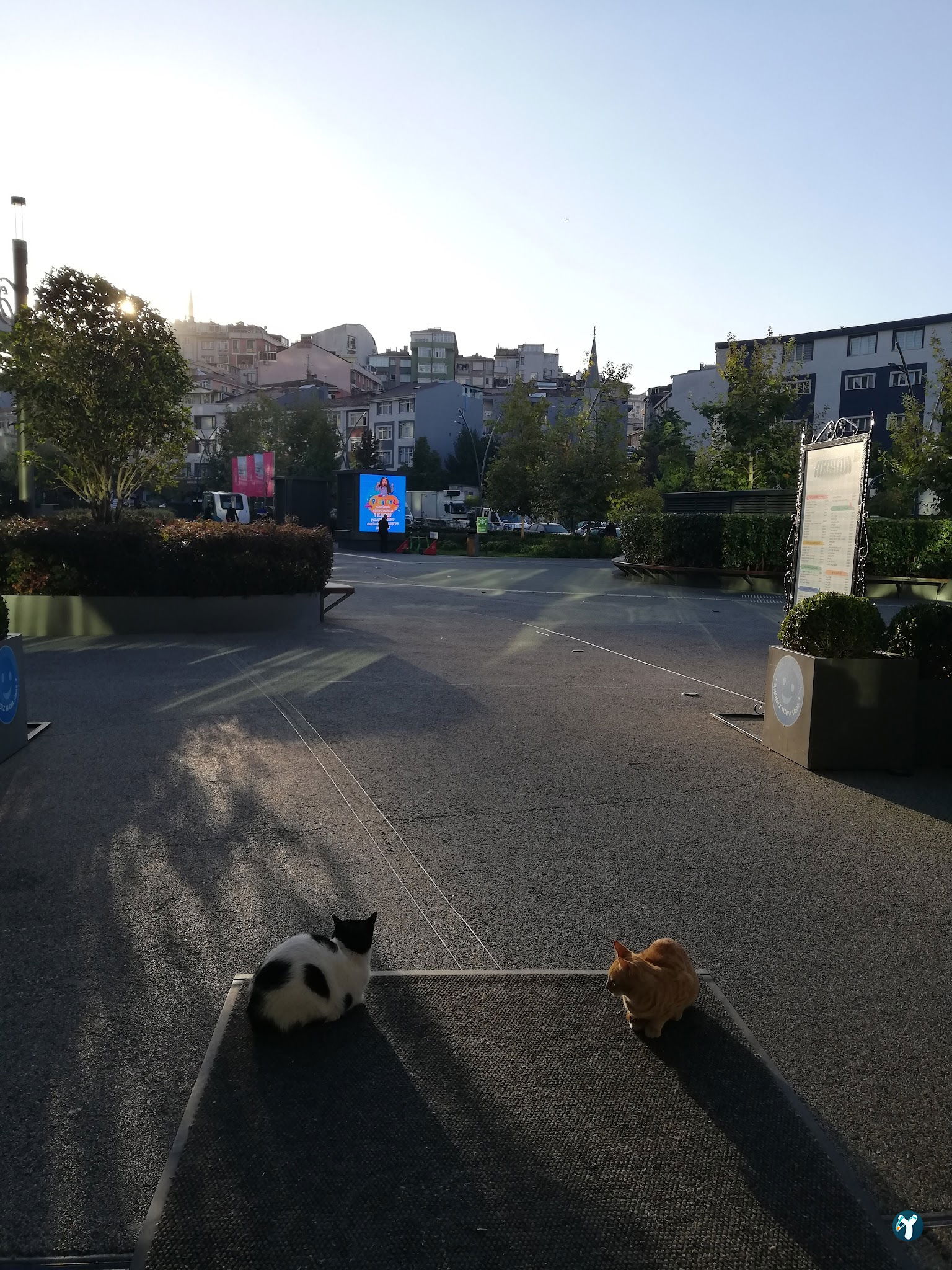 Tebessüm Kahvesi