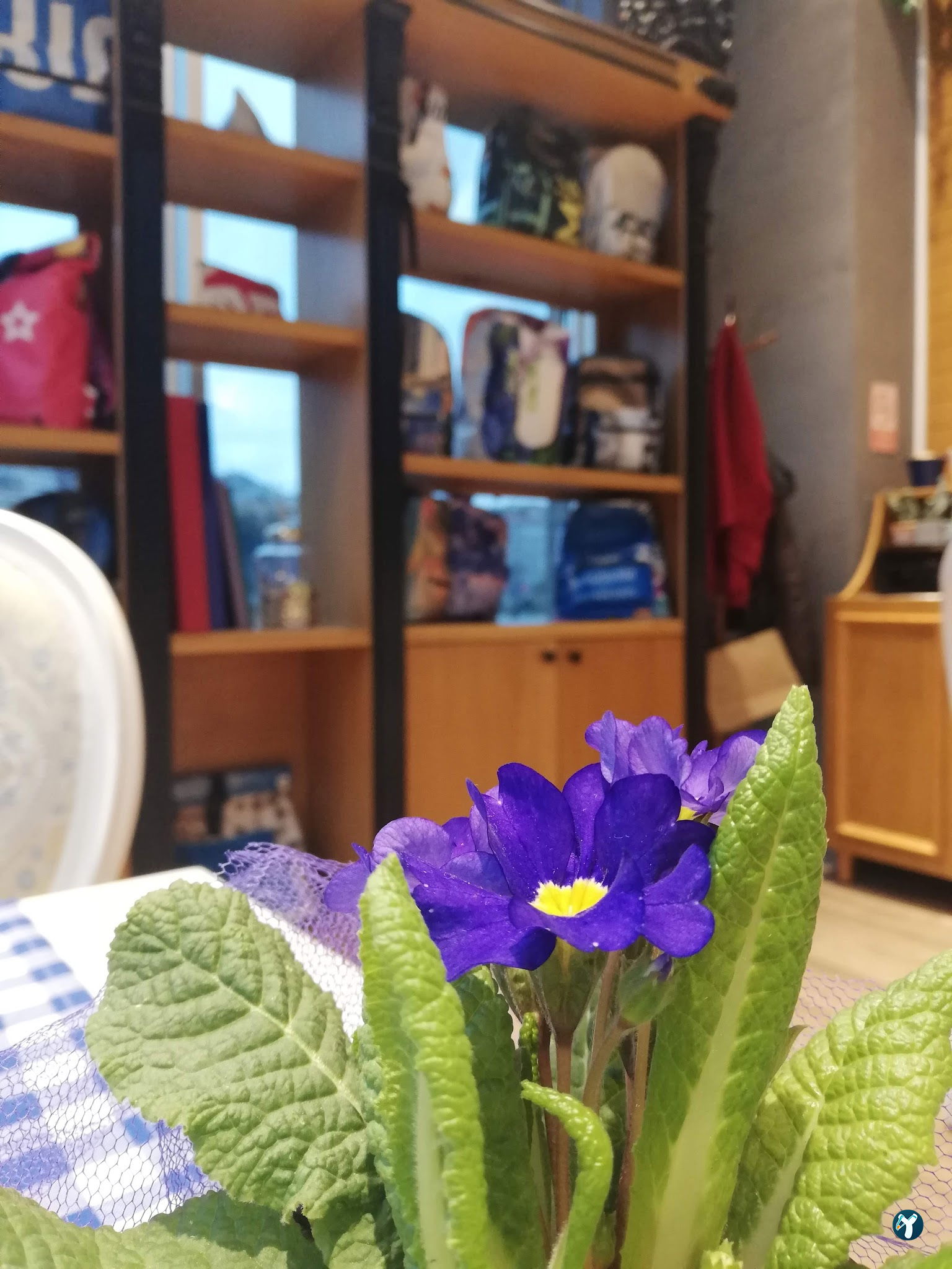 Tebessüm Kahvesi