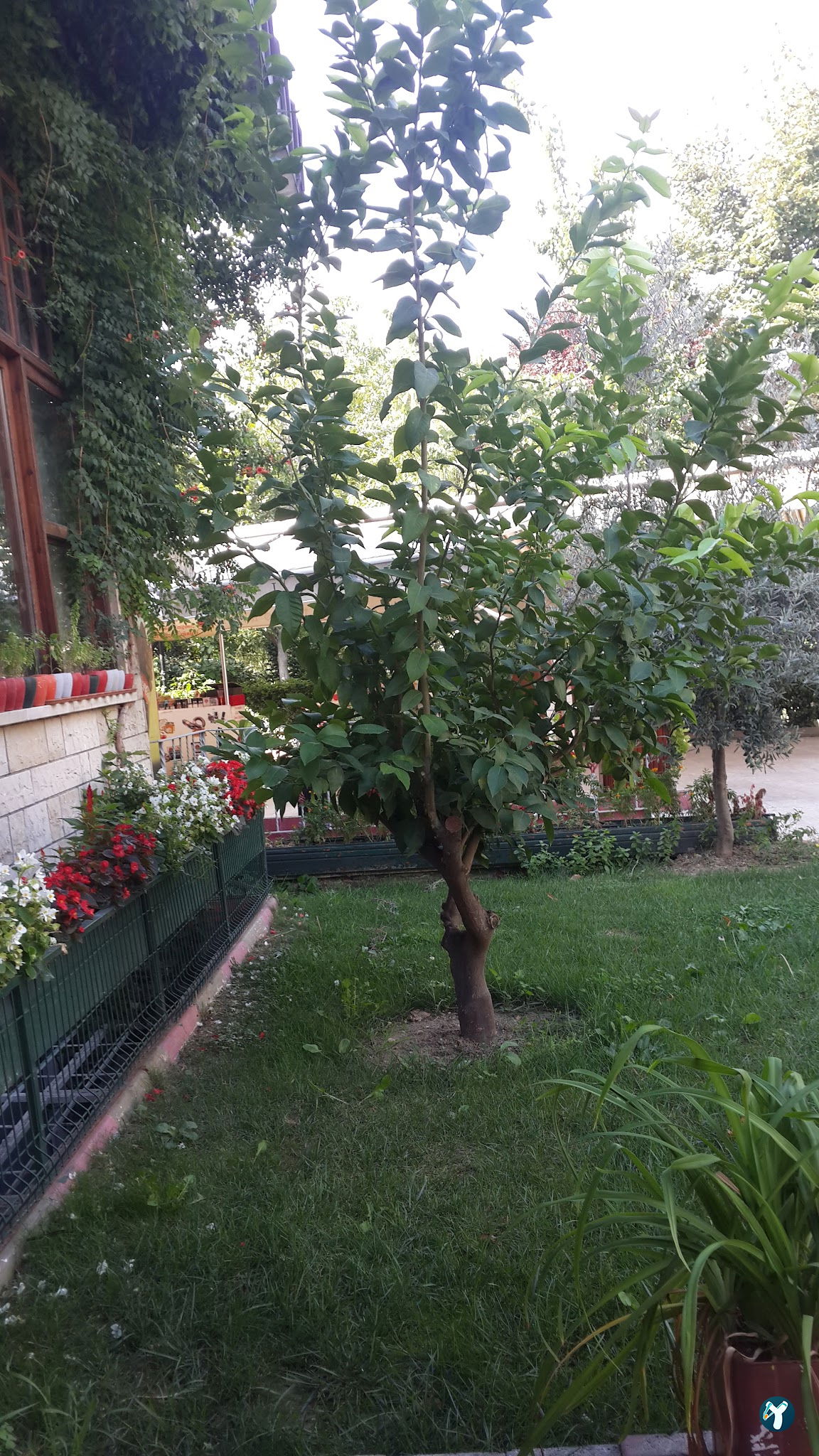 Ramazan Bi̇Ngöl Et Lokantası