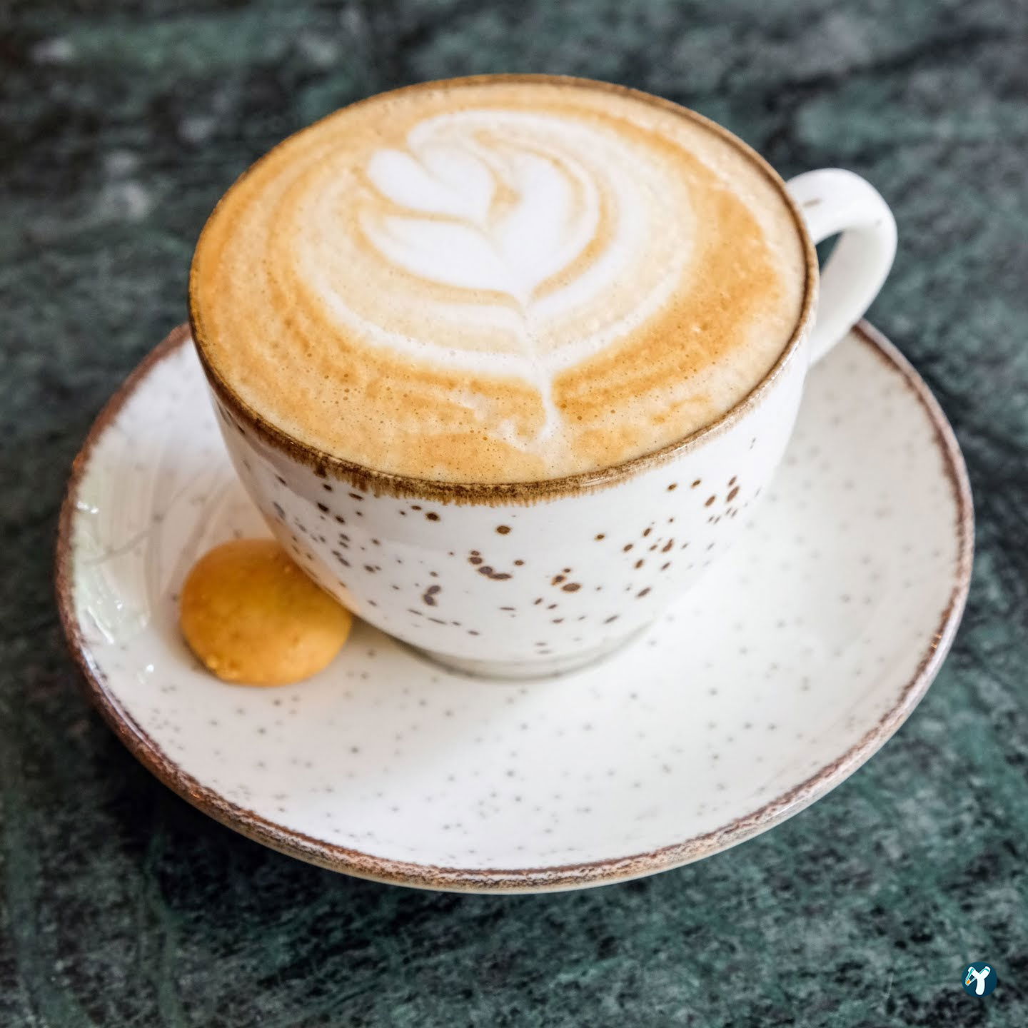 Roy Coffee Shop