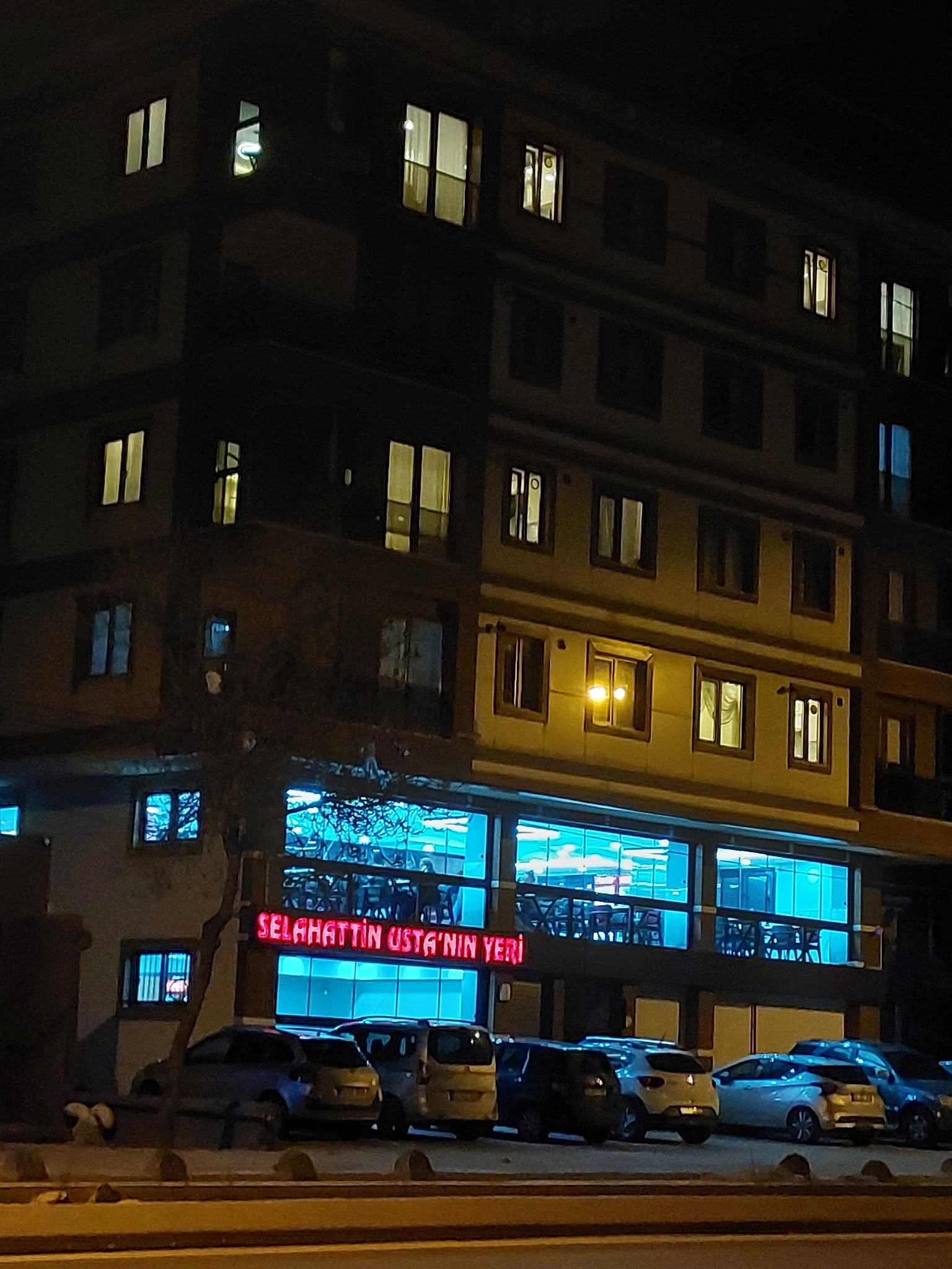 Selahattin Usta'Nın Yeri Mangal