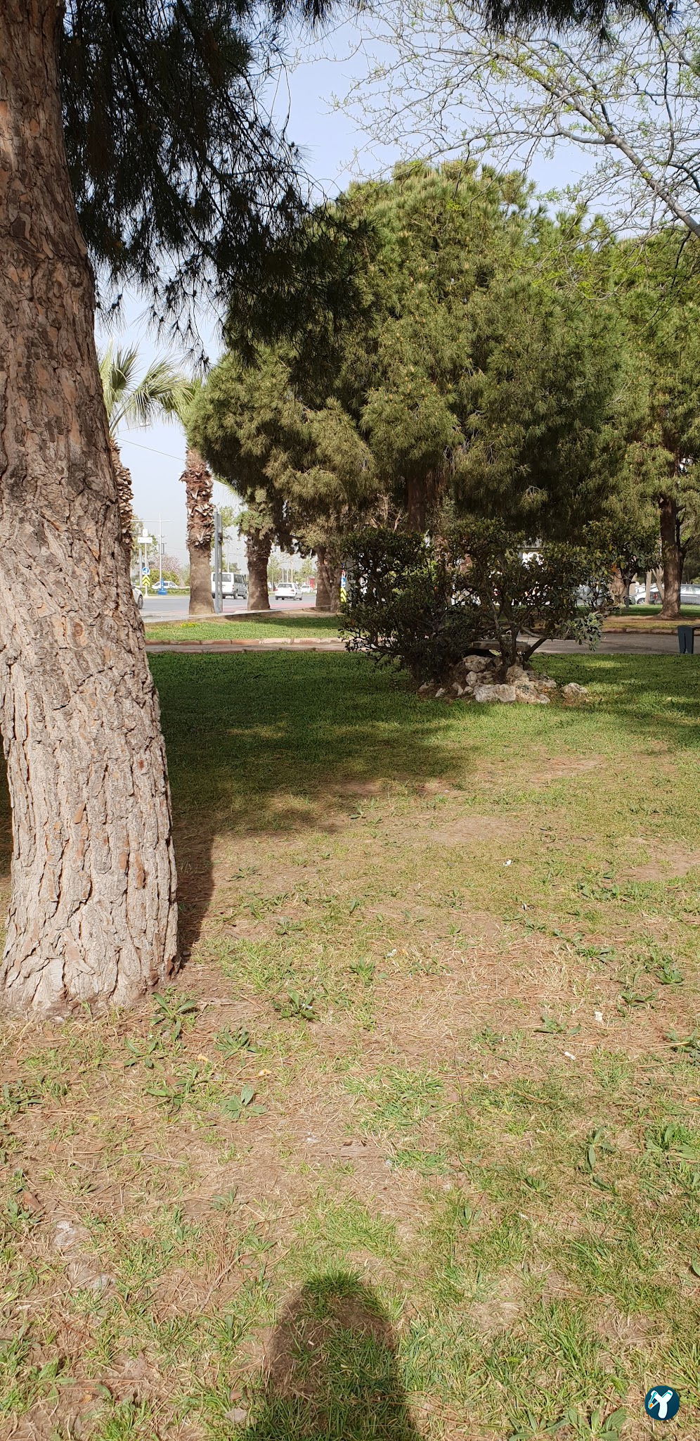 Park Balık Restoran