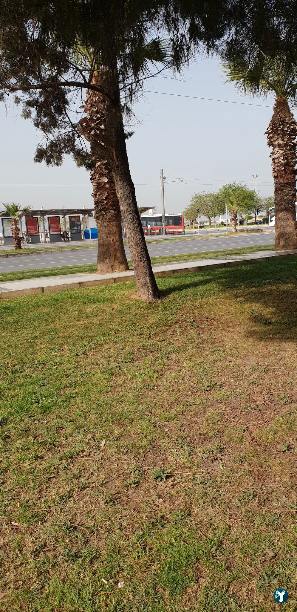 Park Balık Restoran