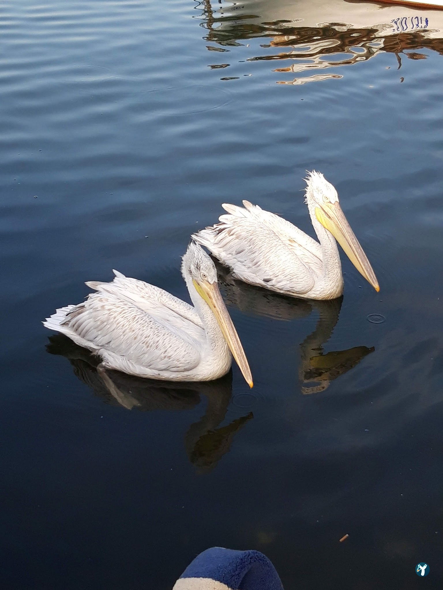 Park Balık Restoran