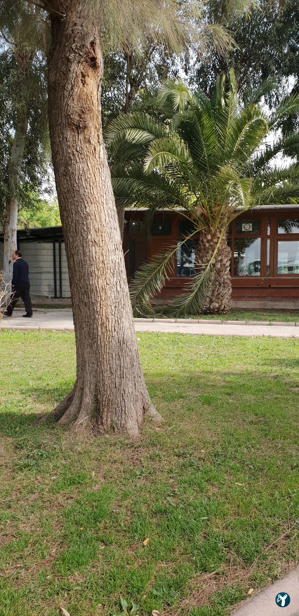 Park Balık Restoran
