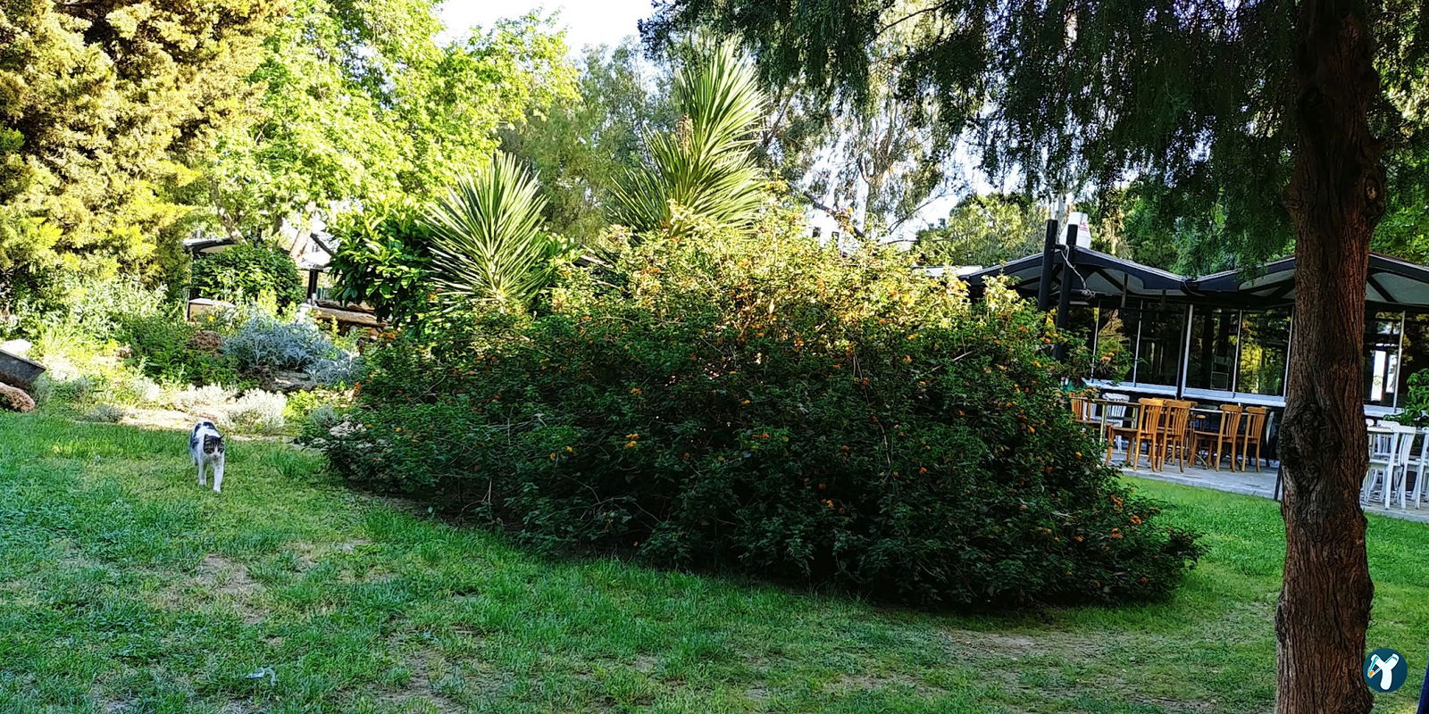 Park Balık Restoran