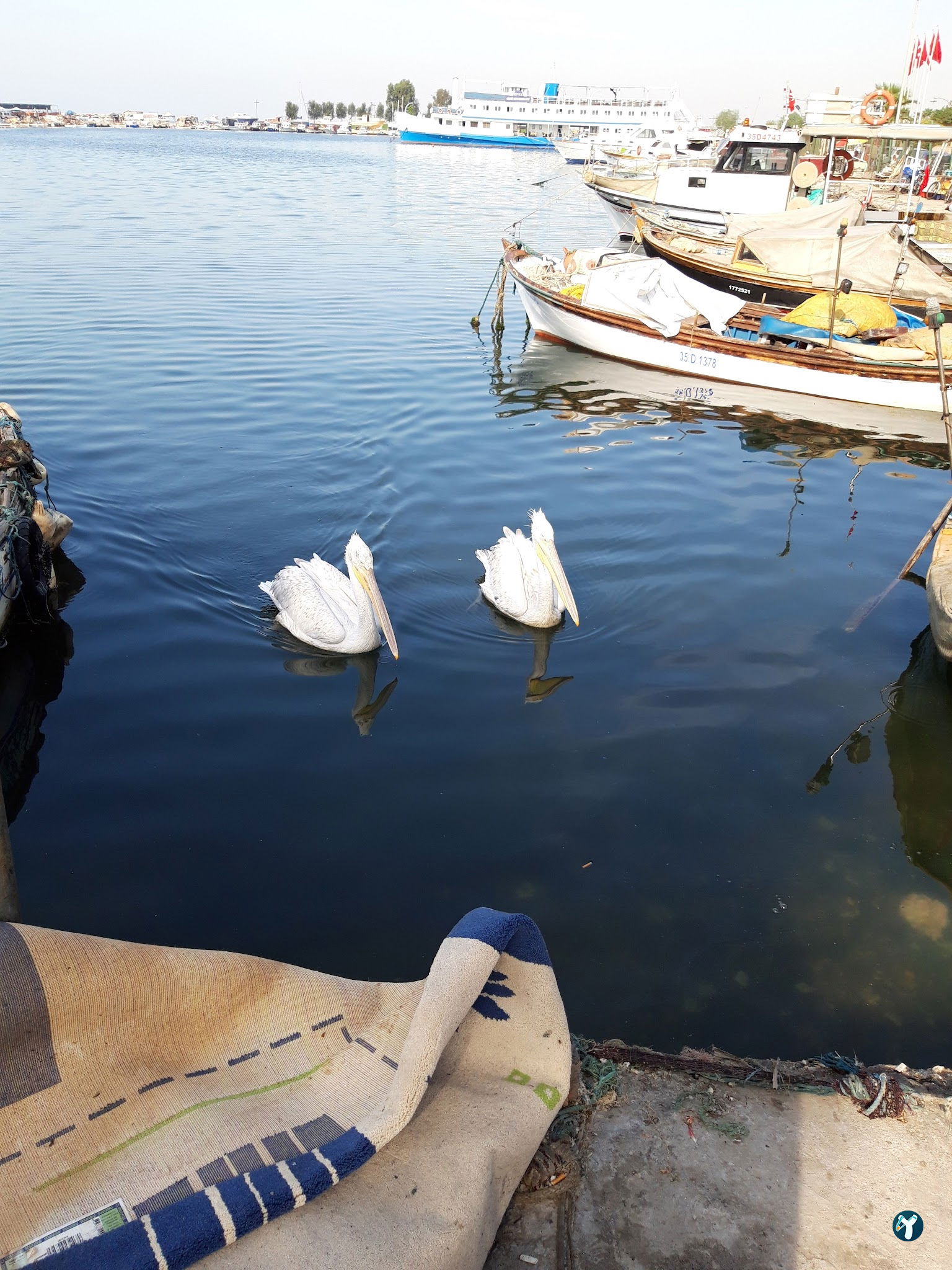 Park Balık Restoran