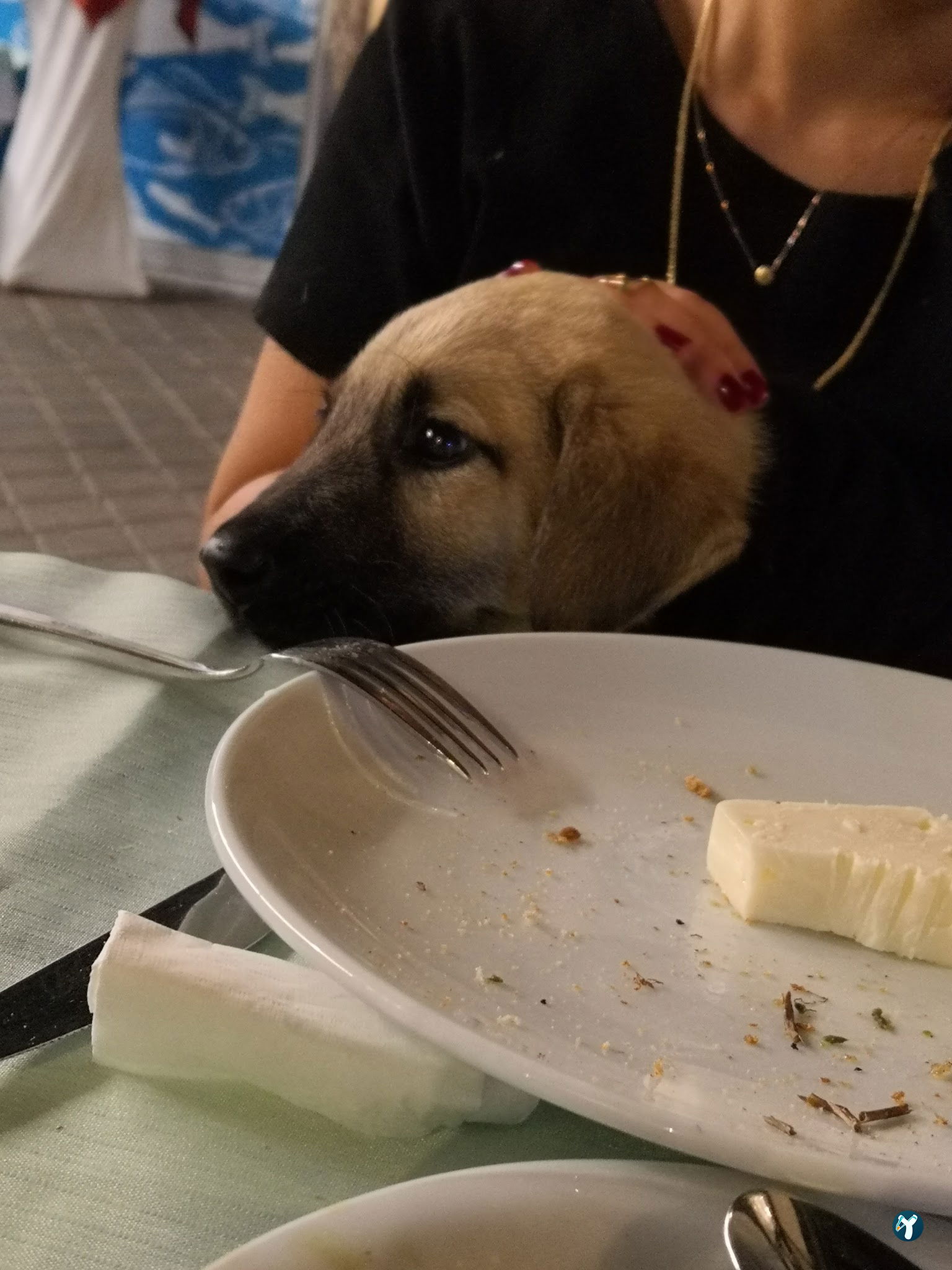 Park Balık Restoran