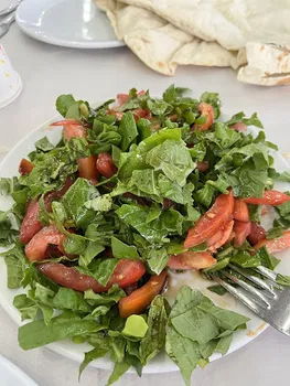 Kalyon Lazutti Çöpşiş resimleri