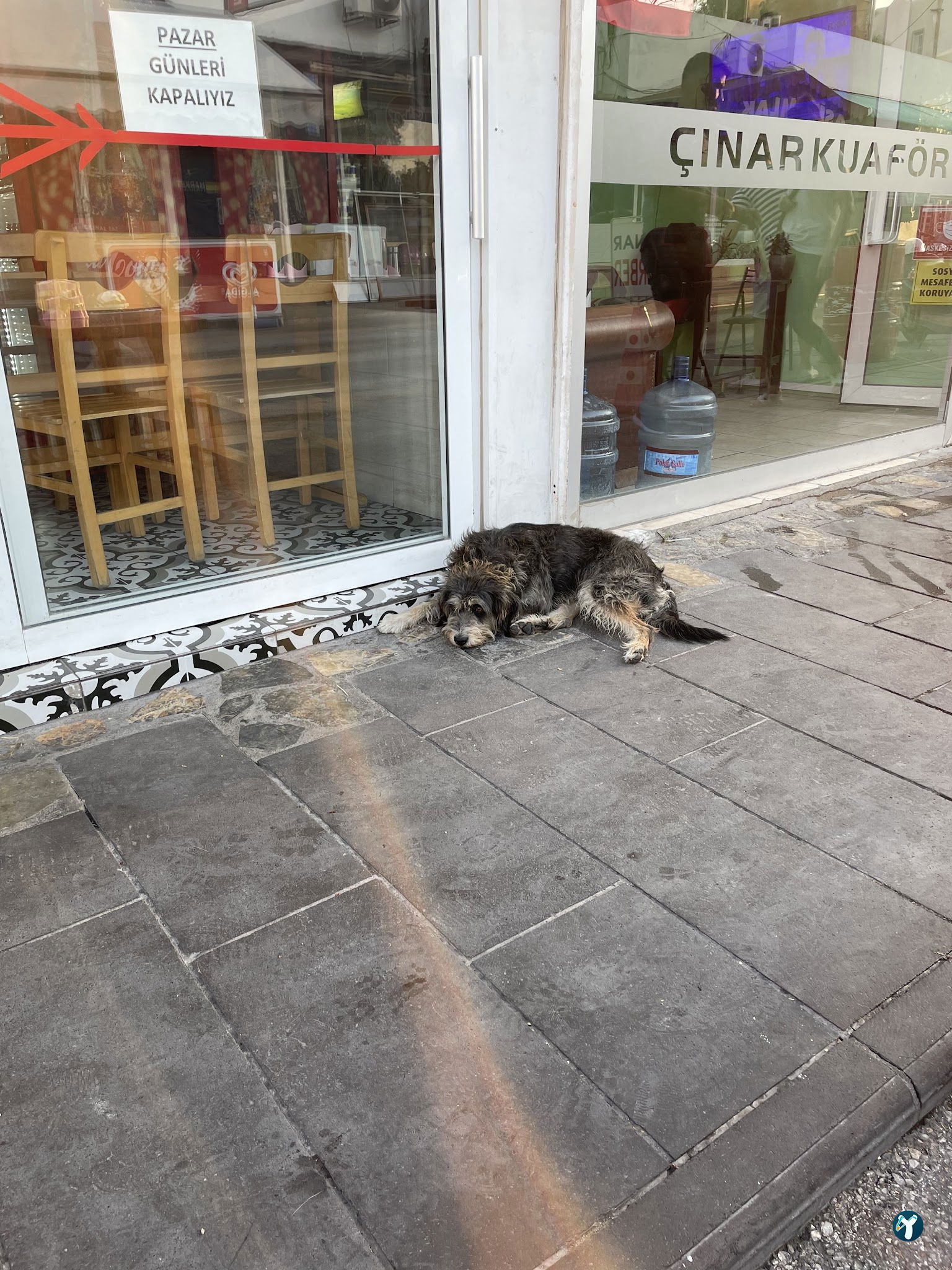 Kokoreçci Adem Usta Bodrum
