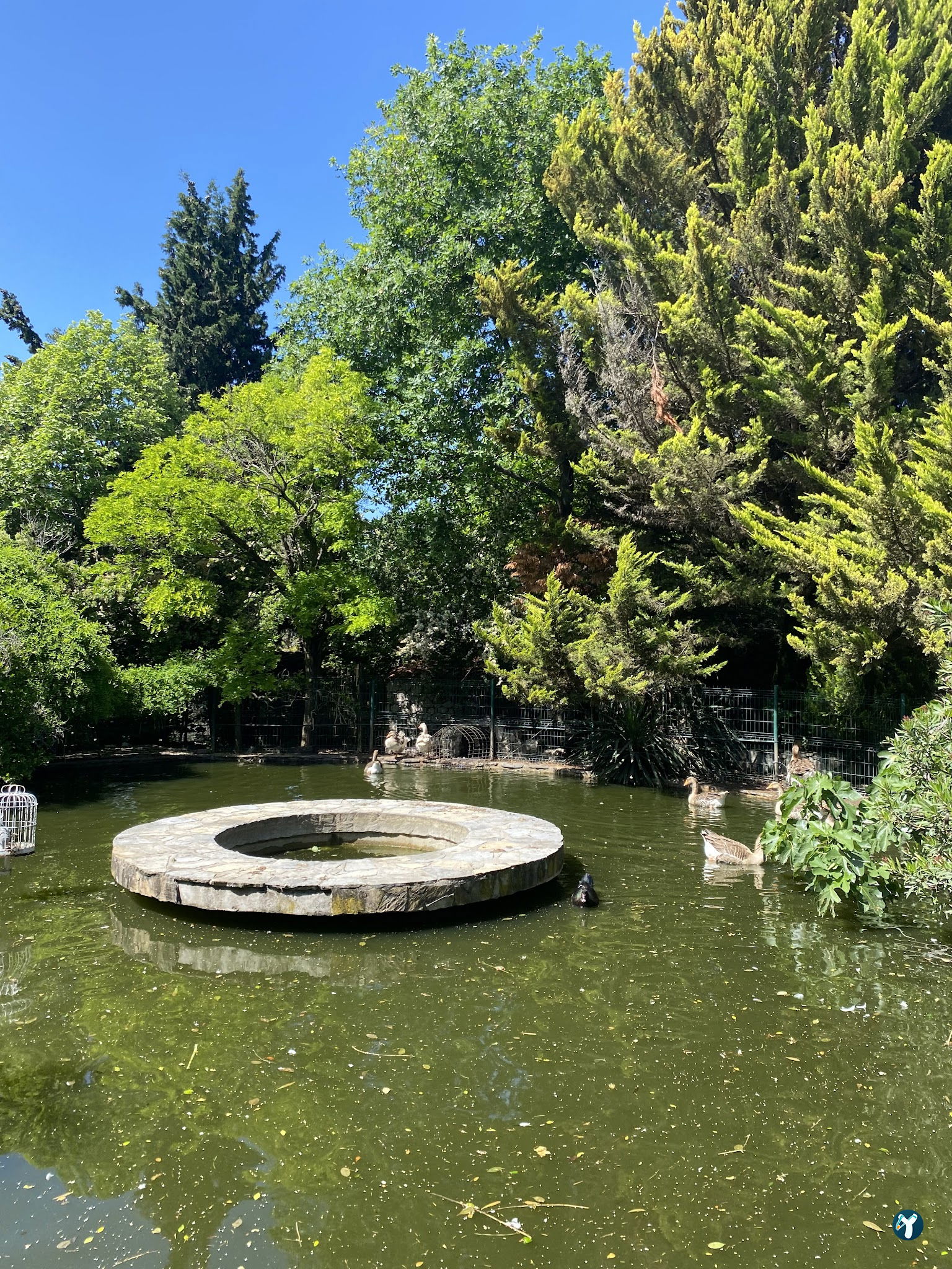 Leylek Köy Göl Evi