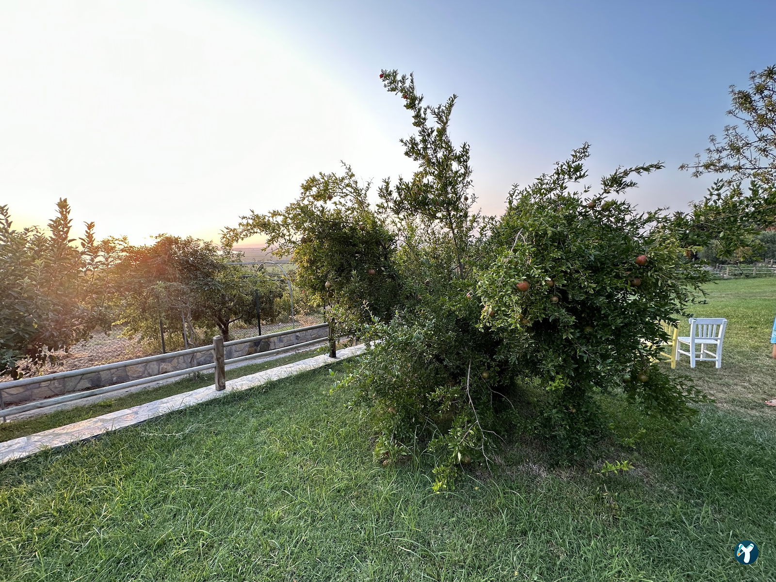 Leylek Köy Göl Evi