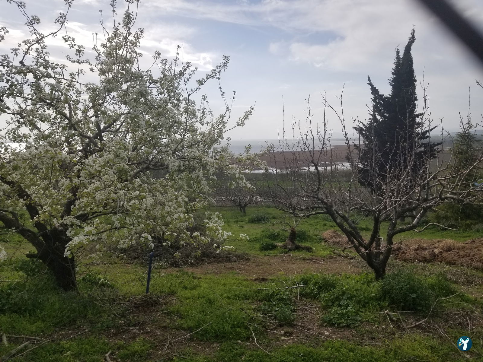 Leylek Köy Göl Evi