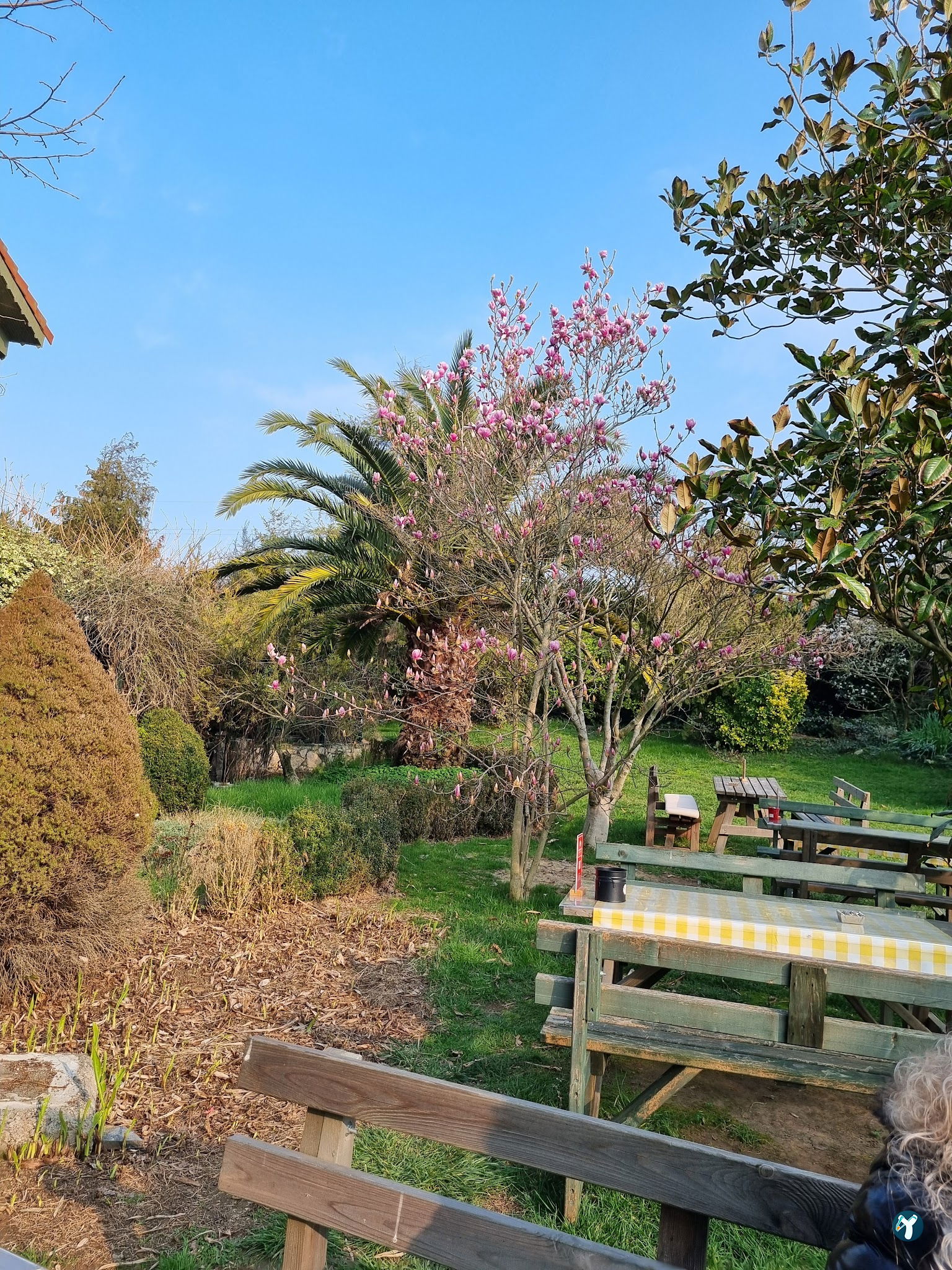 Leylek Köy Göl Evi