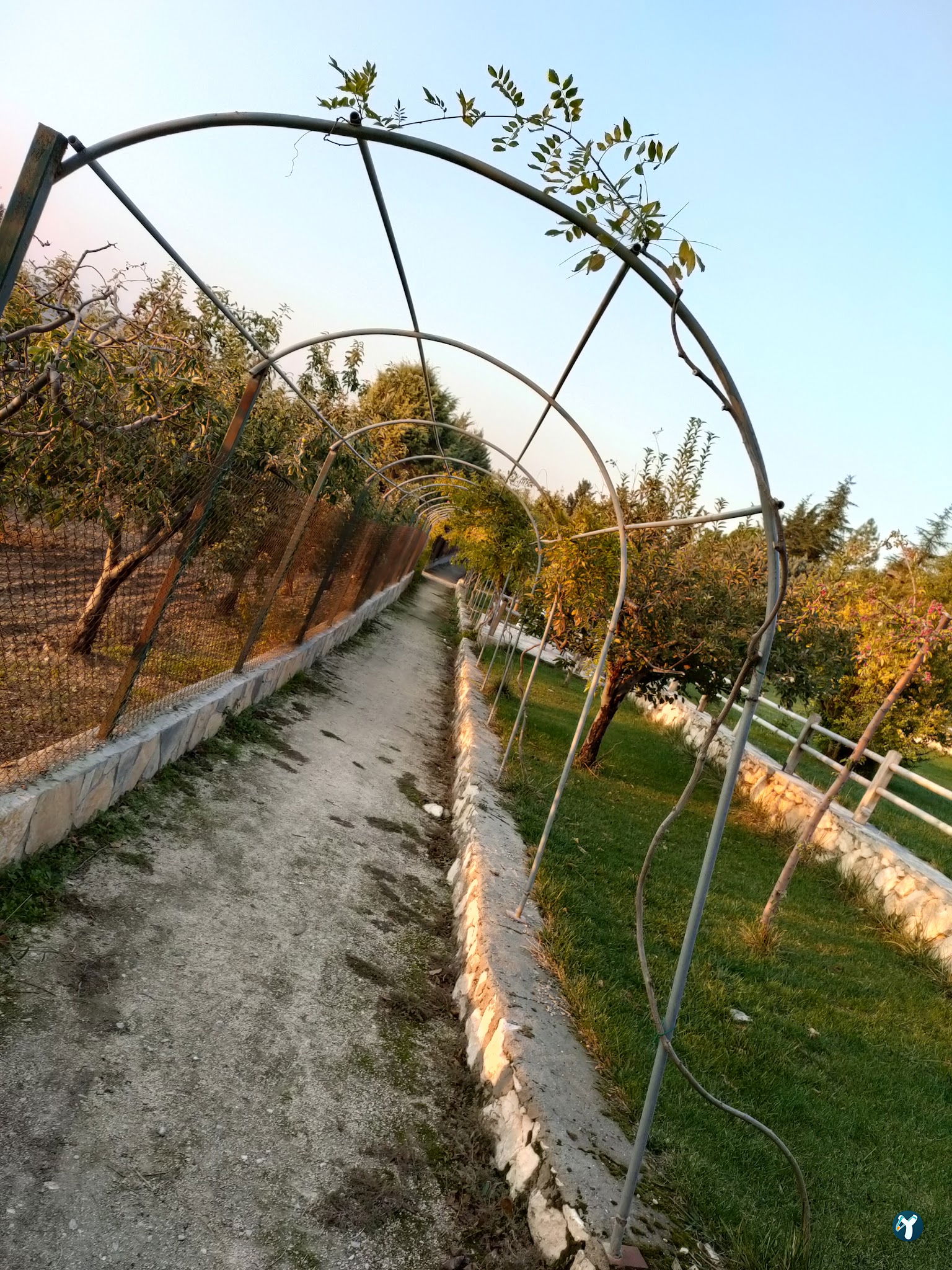 Leylek Köy Göl Evi