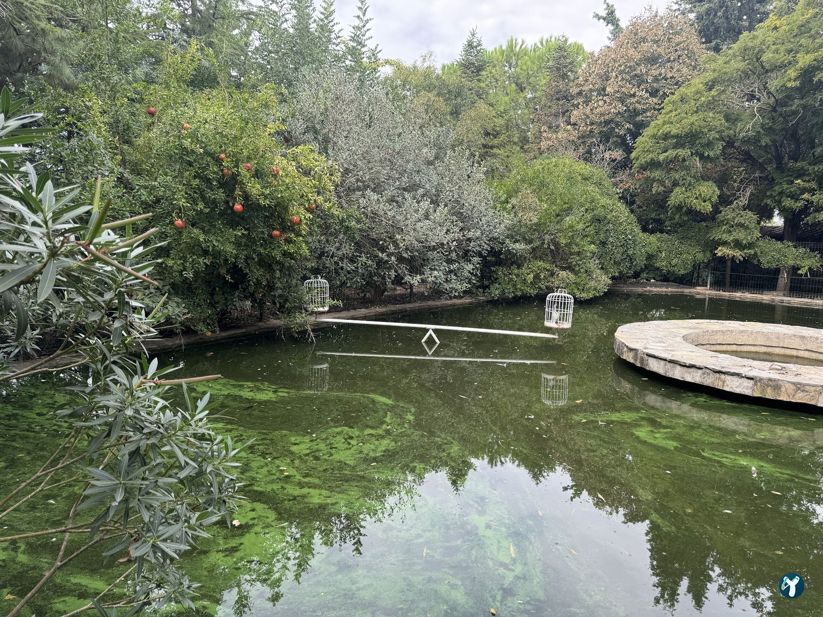 Leylek Köy Göl Evi