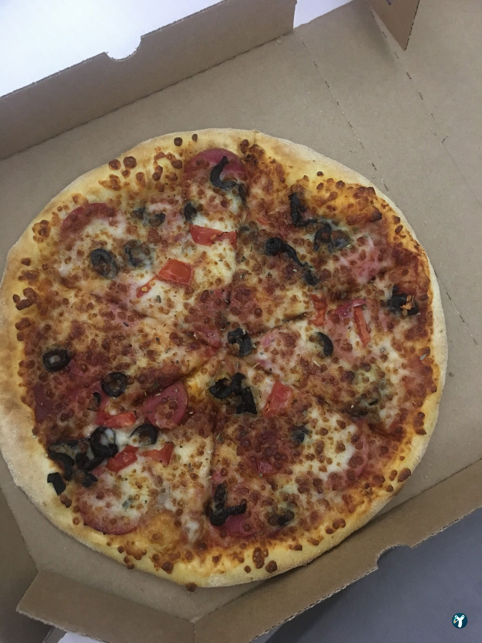 Domino'S Pizza Ordu