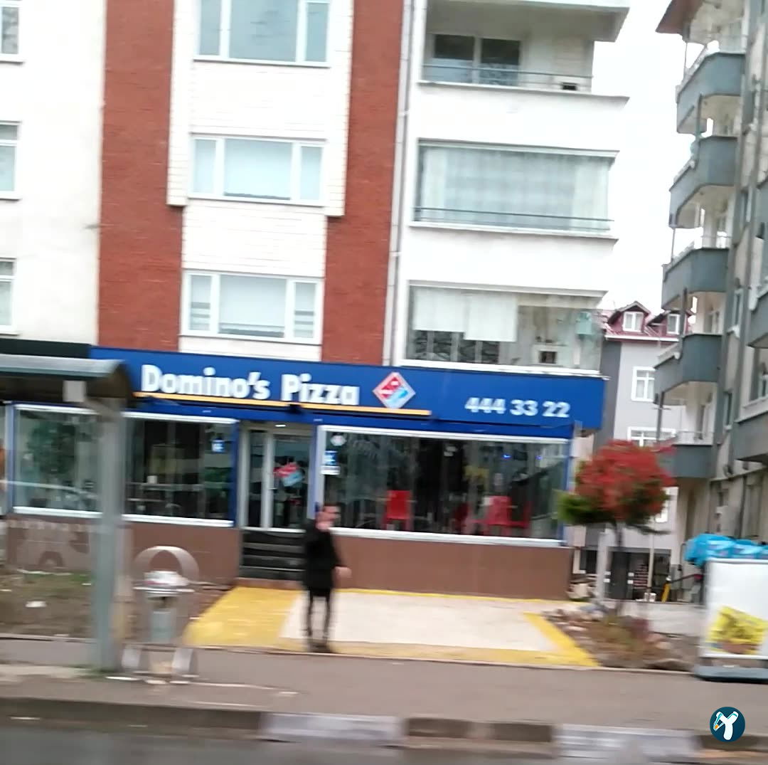 Domino'S Pizza Ordu