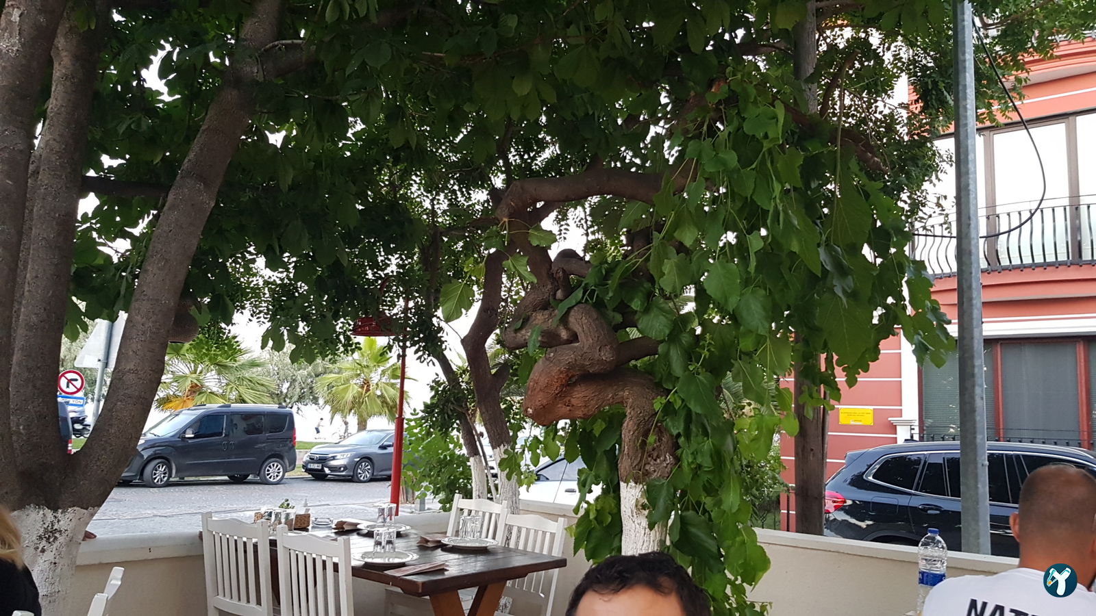 Müdavim Restaurant