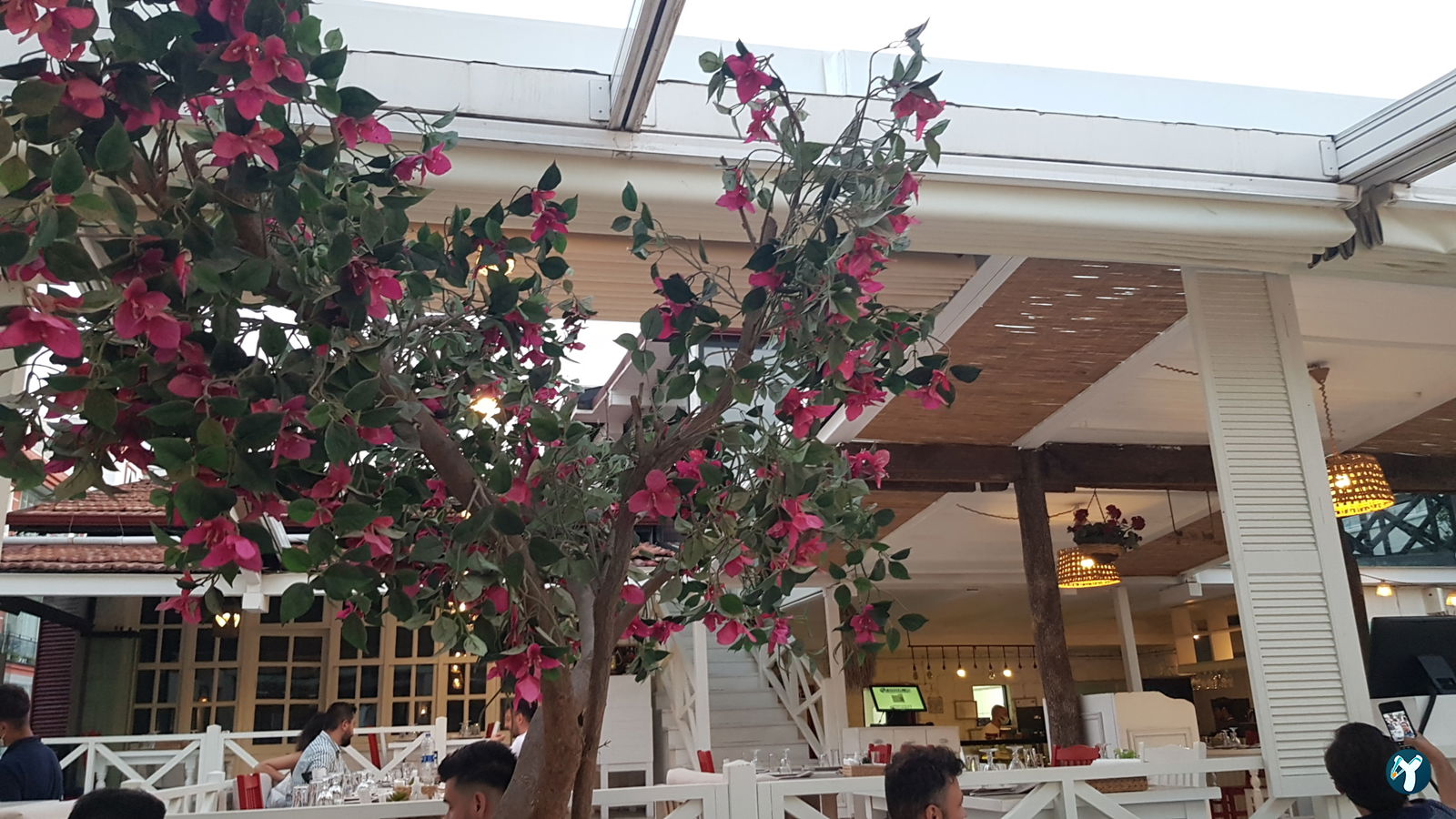 Müdavim Restaurant